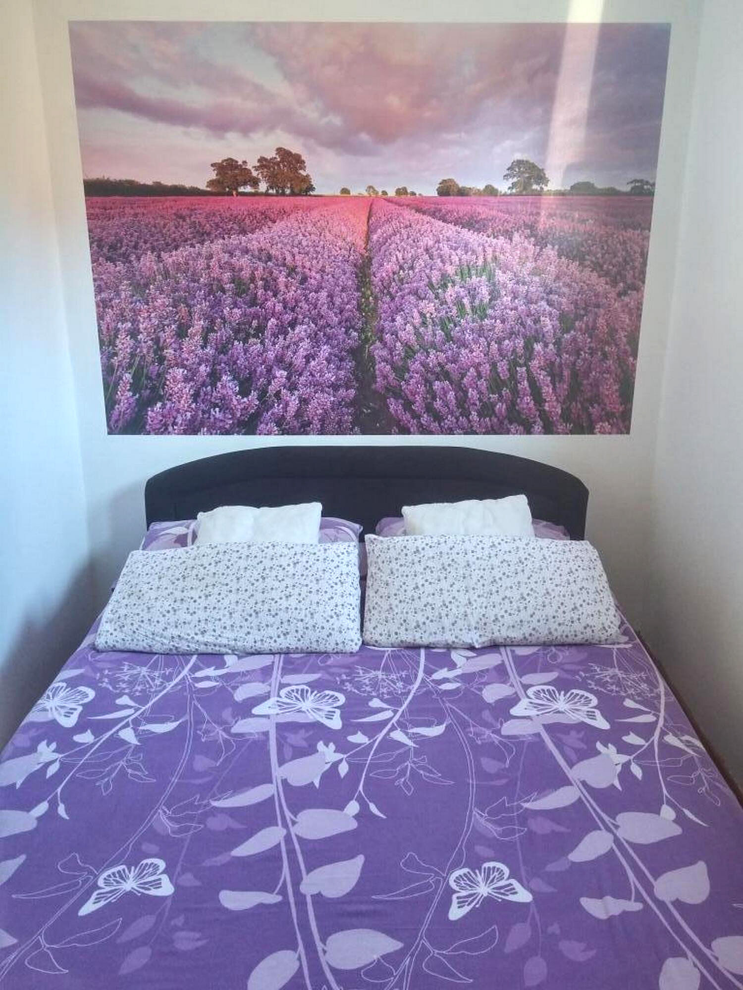 Apartments and Room Lotus 80832-A2