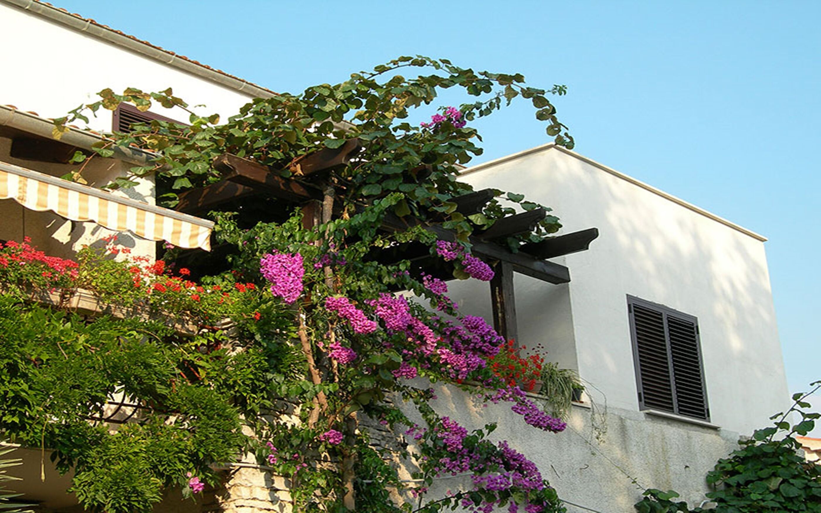 Apartments Nadia 85281-A1