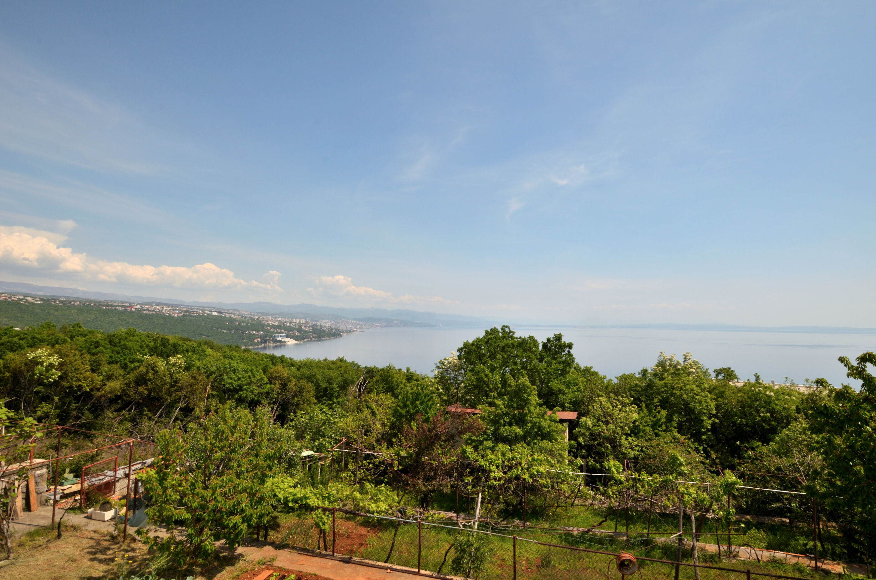 Apartment Mirela 87141-A1