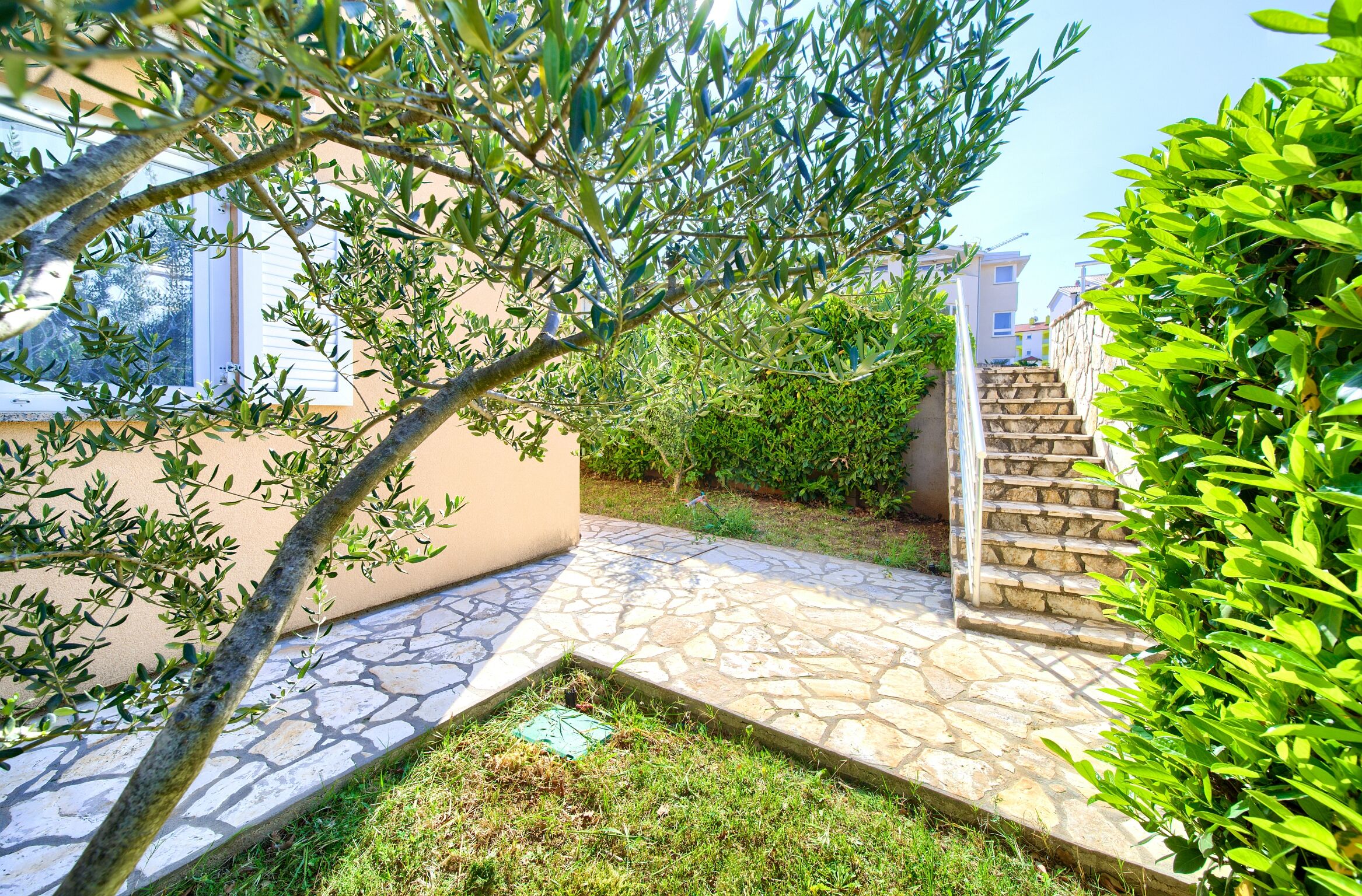 Apartments Aster 62279-A2