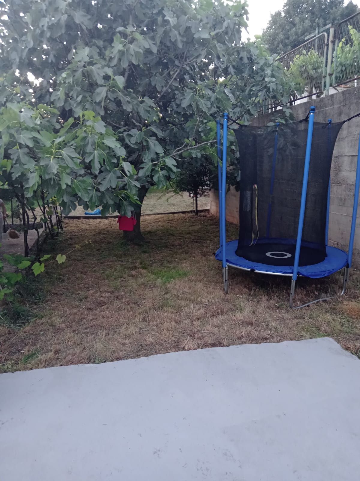 Apartment Robi 84751-A1