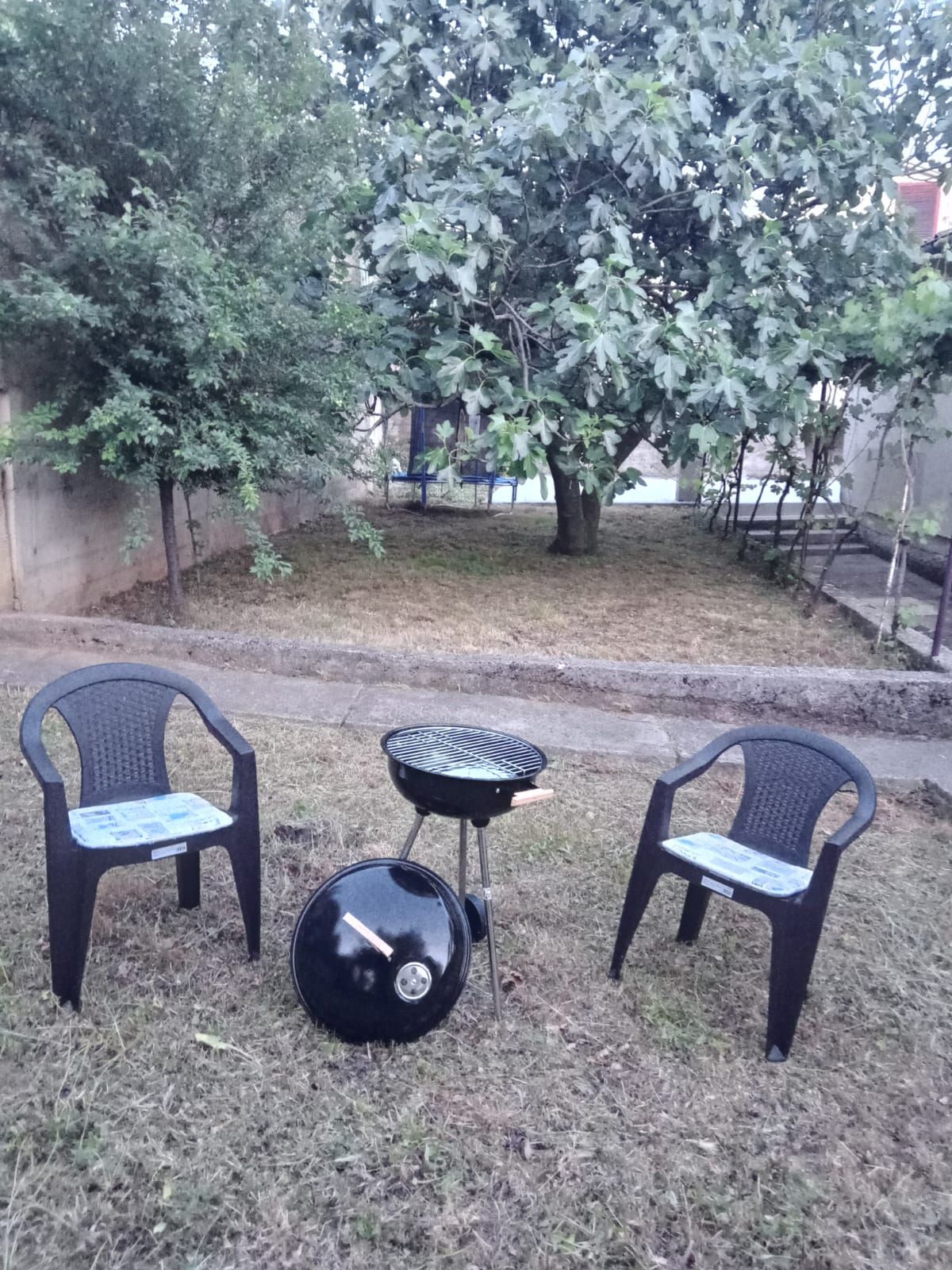 Apartment Robi 84751-A1