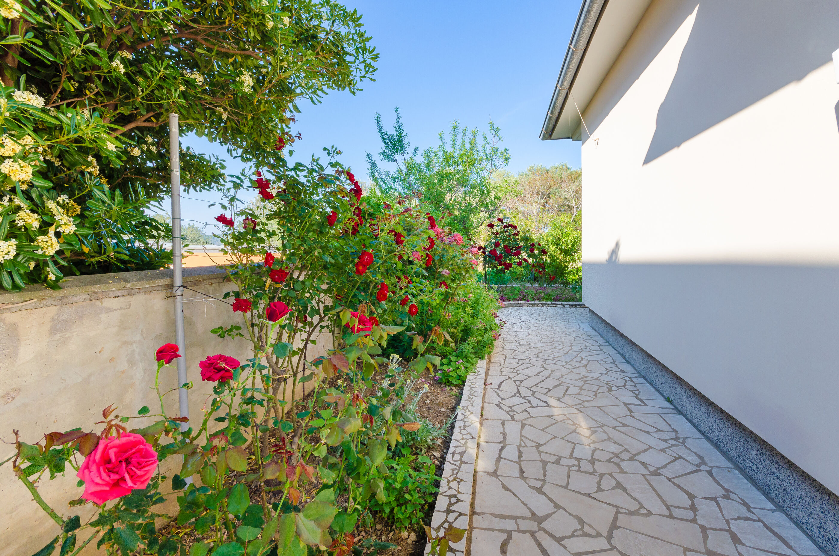 Apartment Nikola 88281-A1