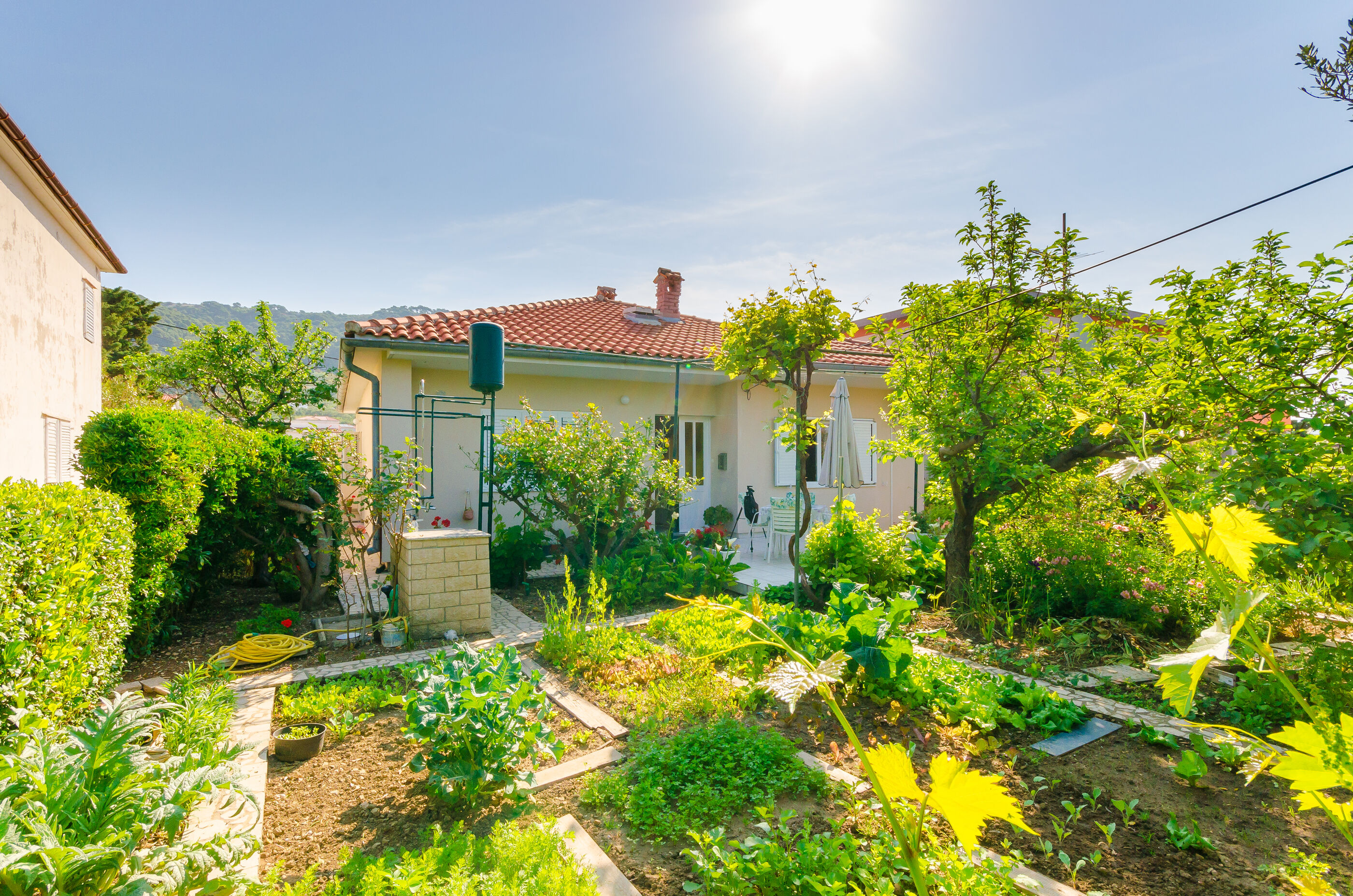 Photo of Apartment Nikola