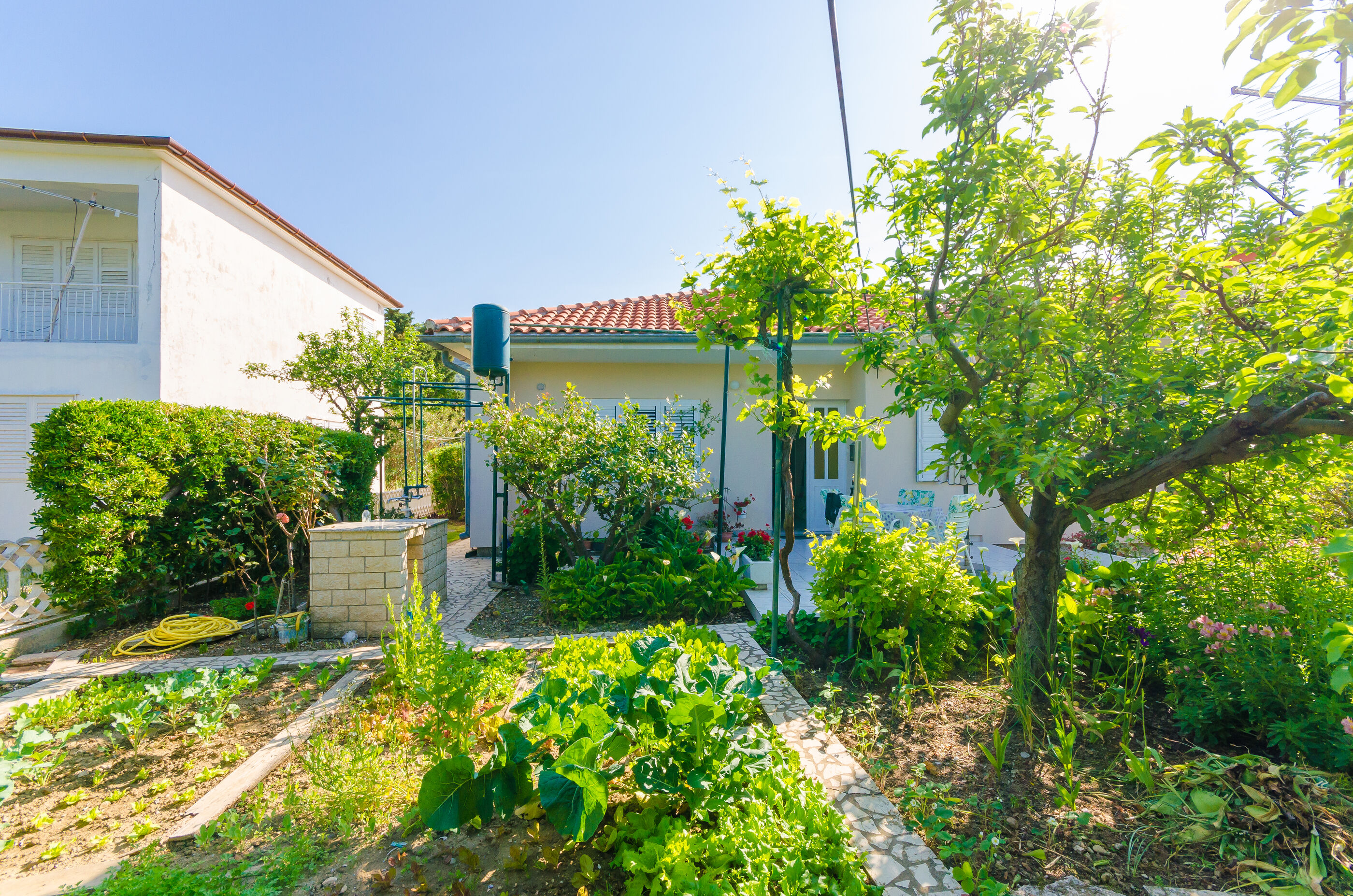 Apartment Nikola 88281-A1