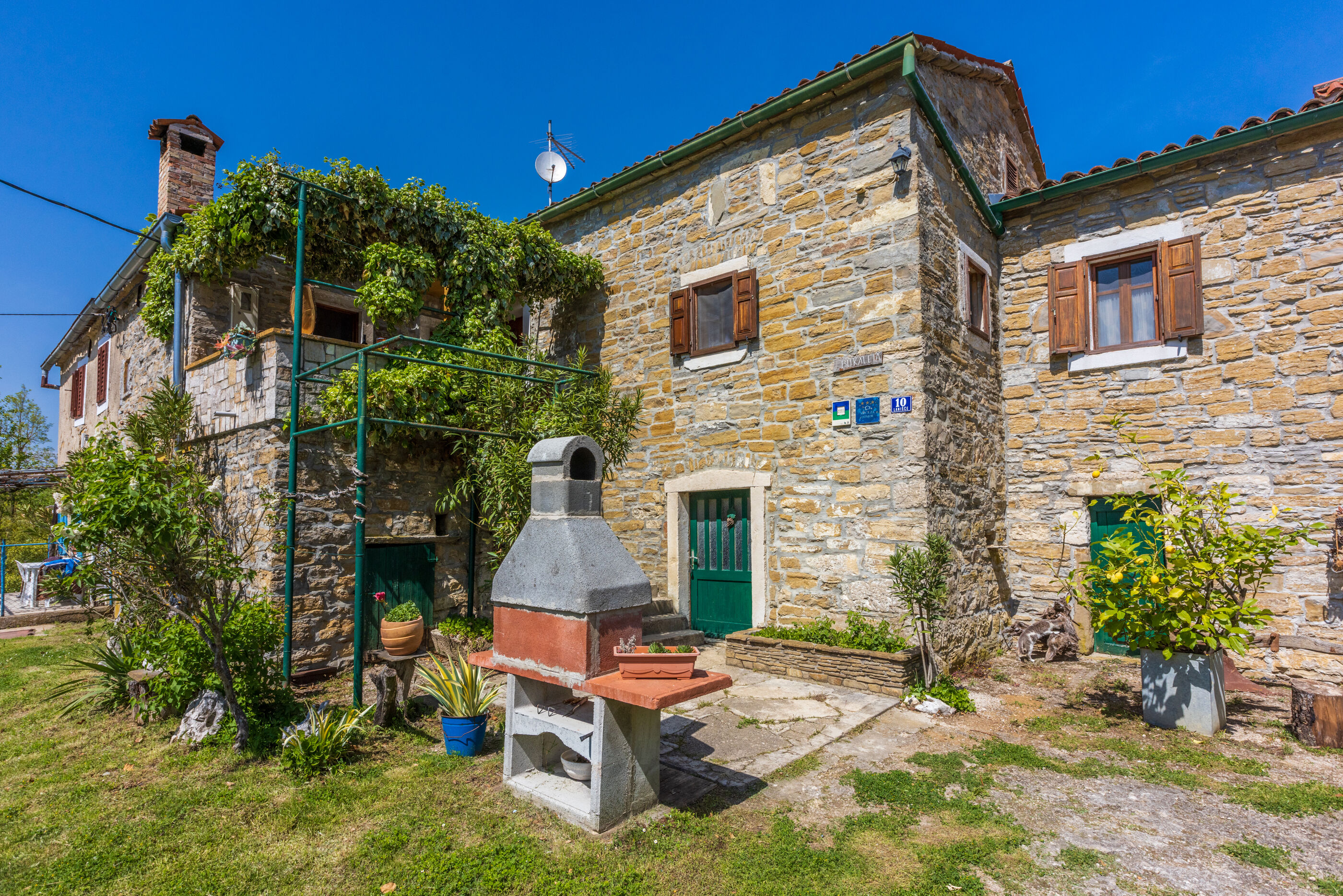House Dorino 71451-K1