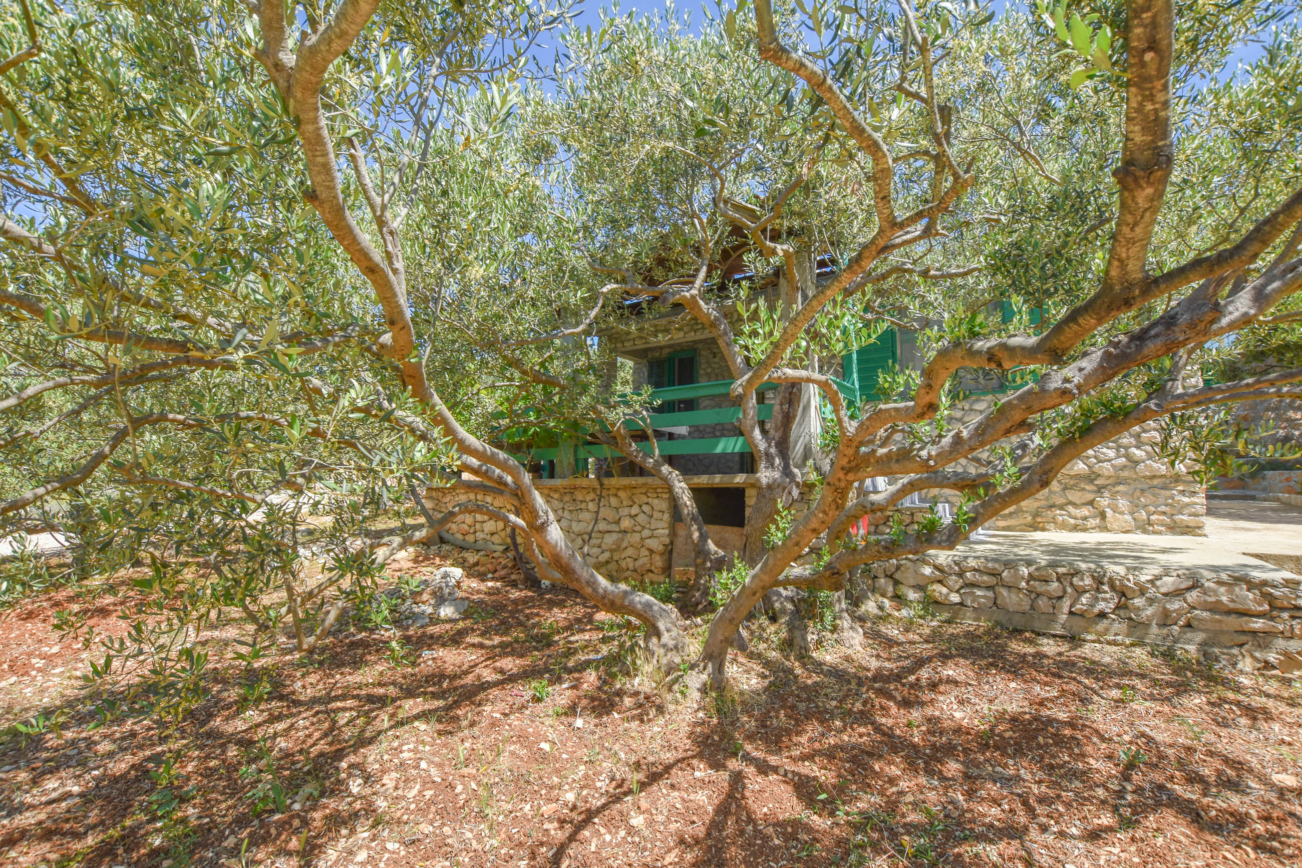 House OLIVA 46501-K1