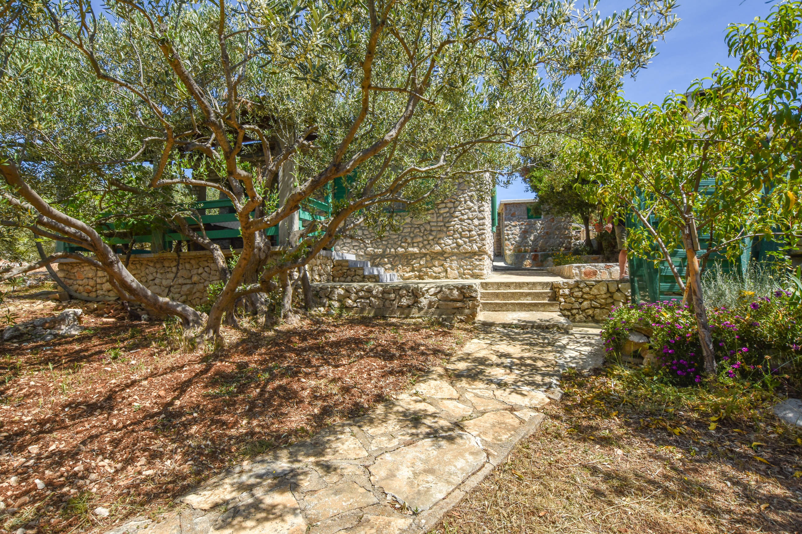 House OLIVA 46501-K1