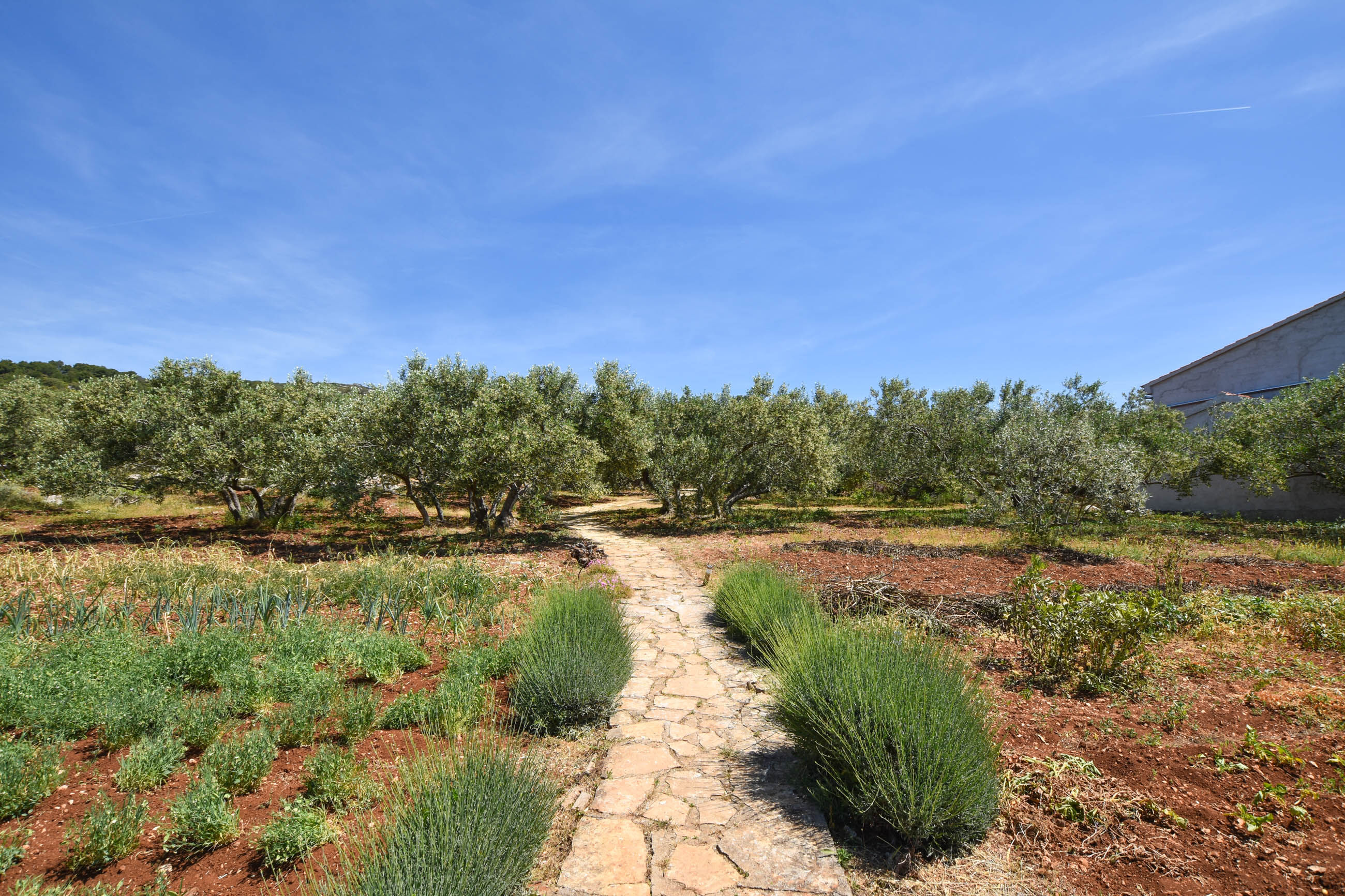 House OLIVA 46501-K1