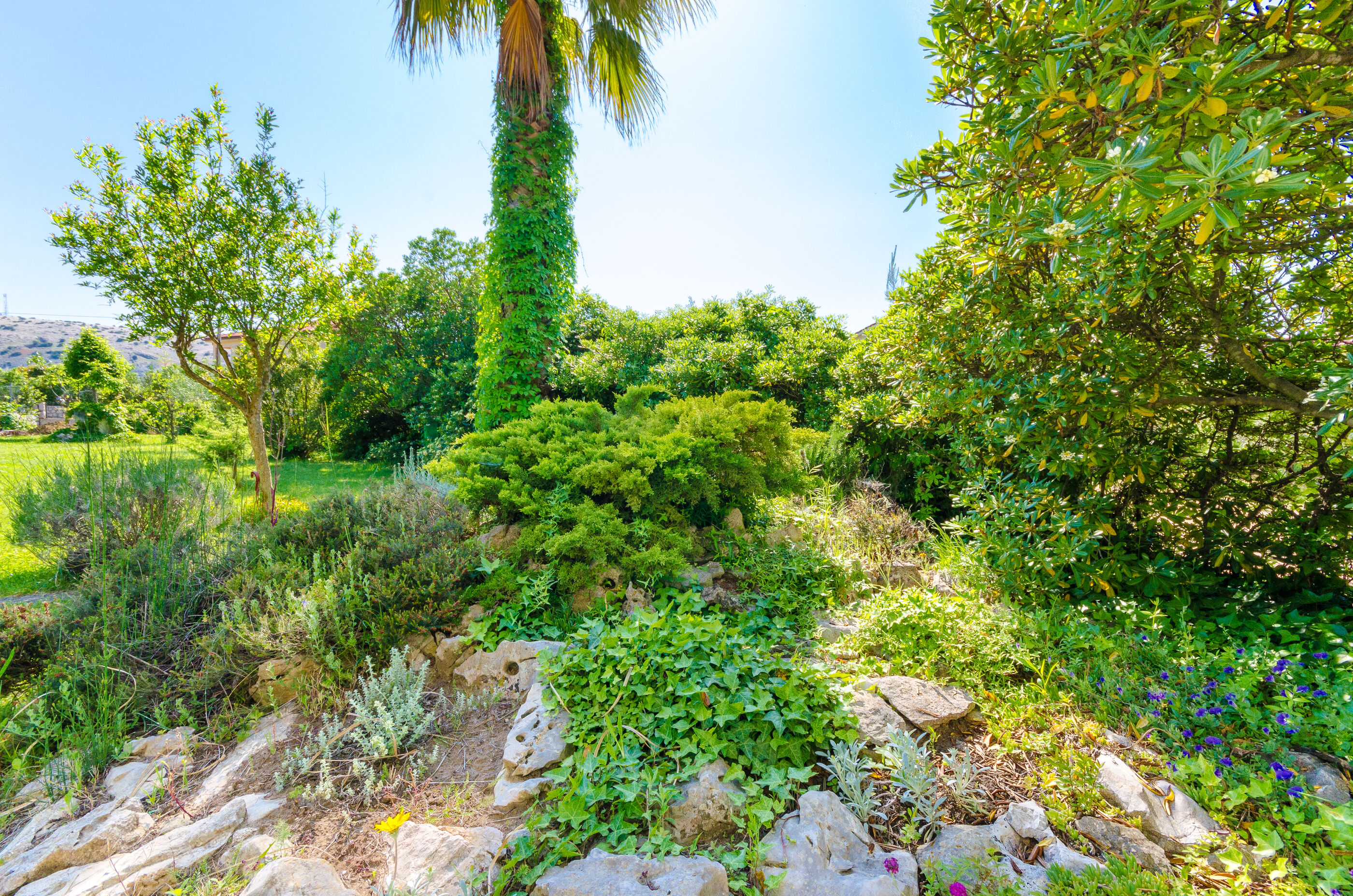 Photo of Apartments Ruzica M