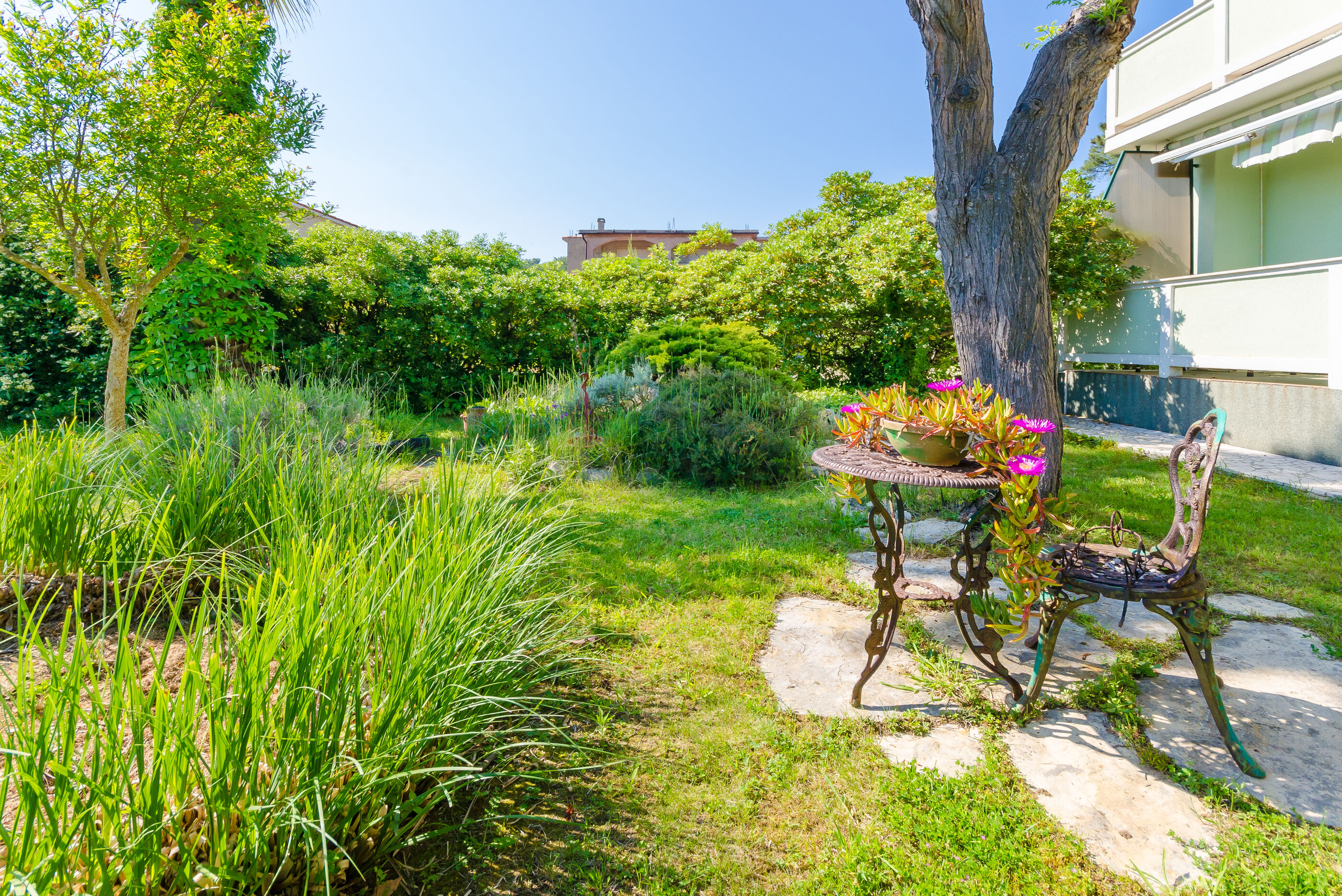 Photo of Apartments Ruzica M