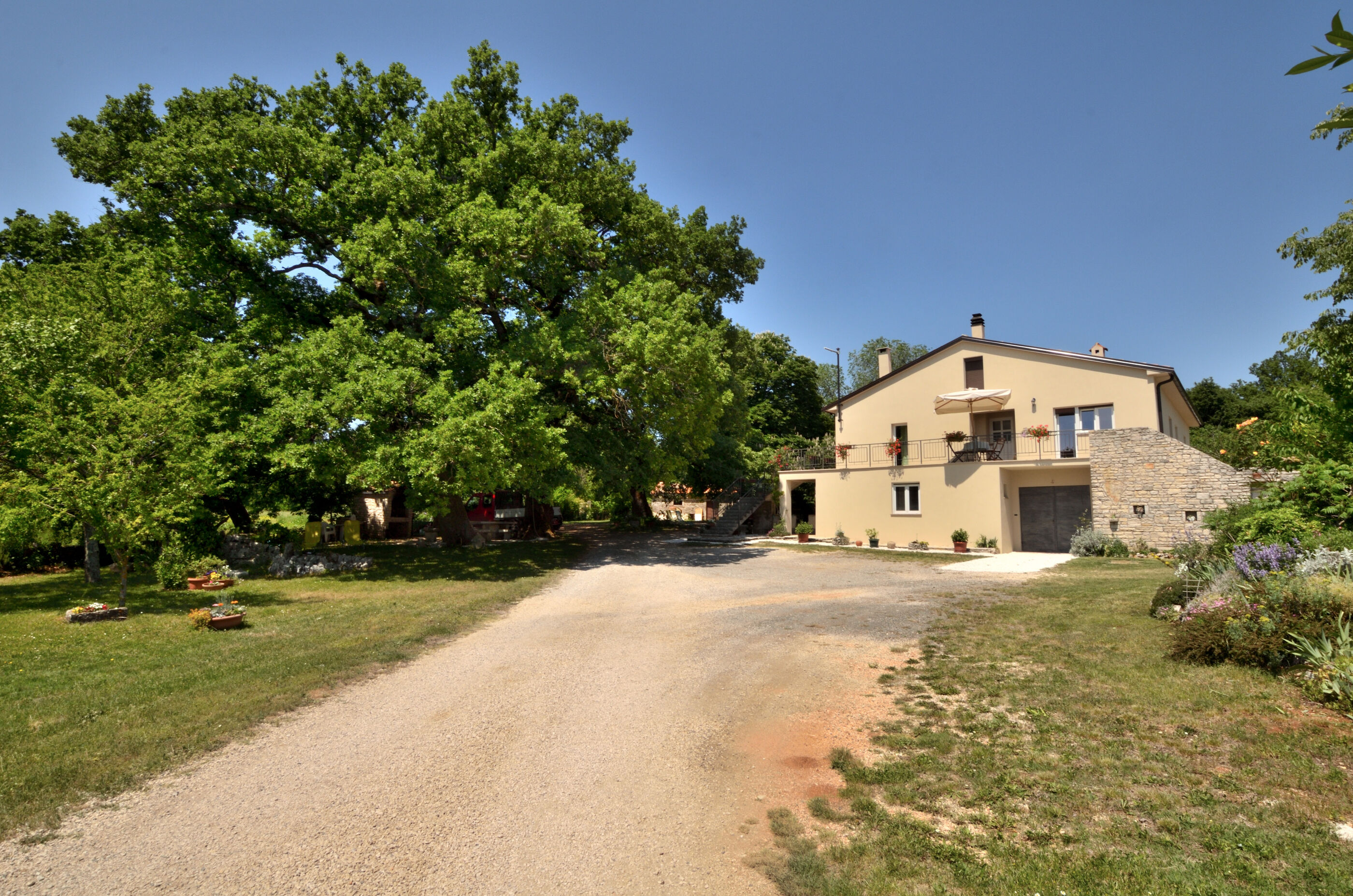 Photo of Apartment Napoleon