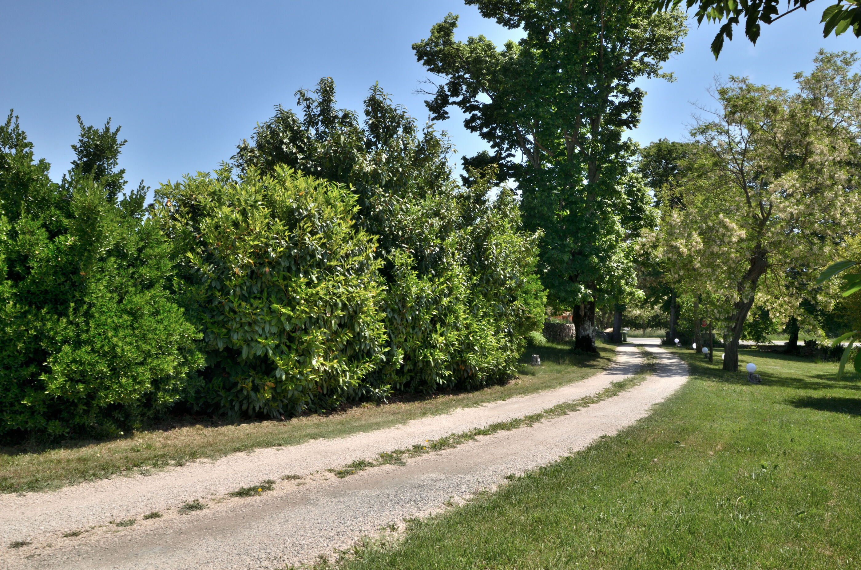 Photo of Apartment Napoleon