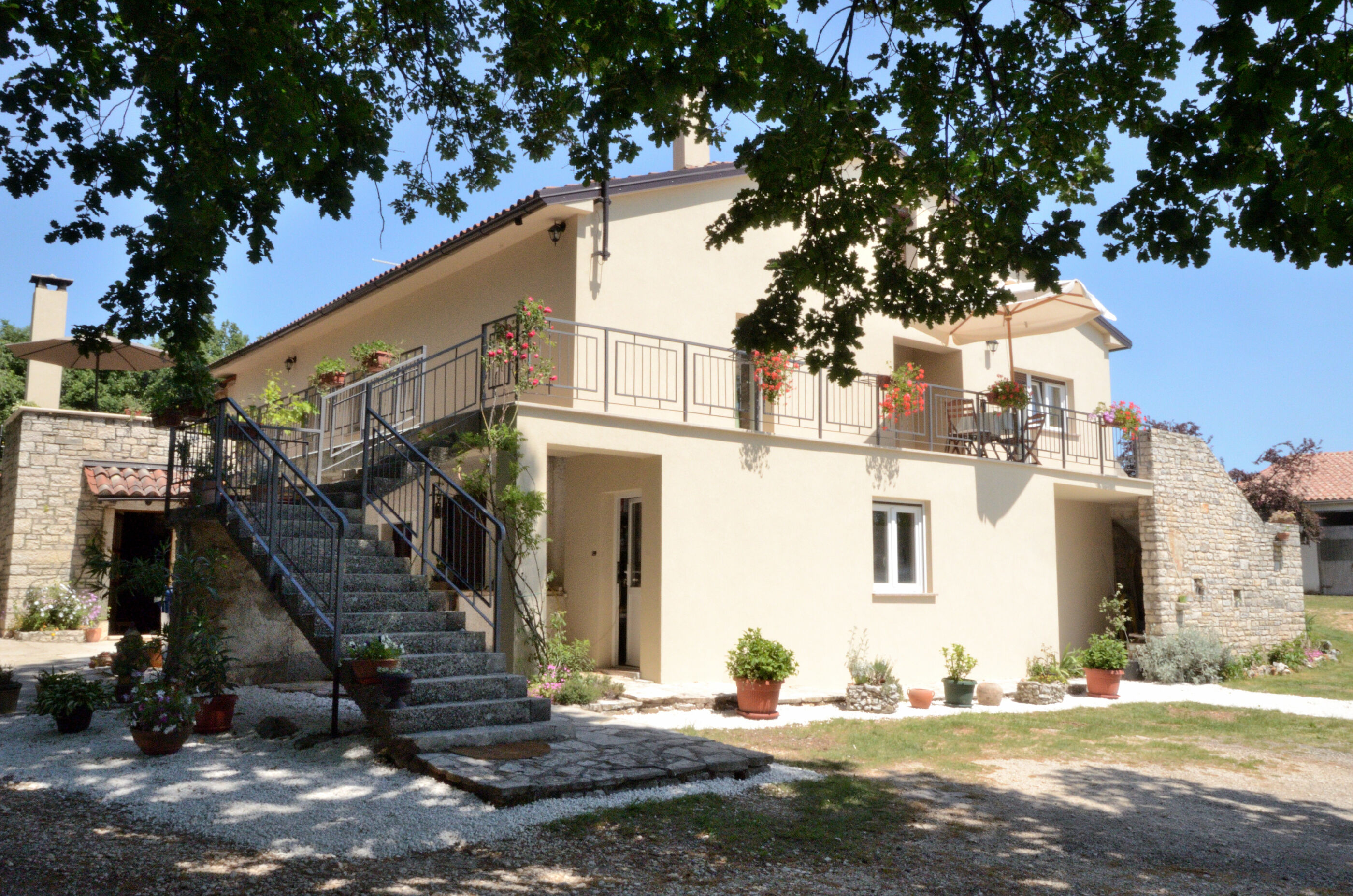 Photo of Apartment Napoleon