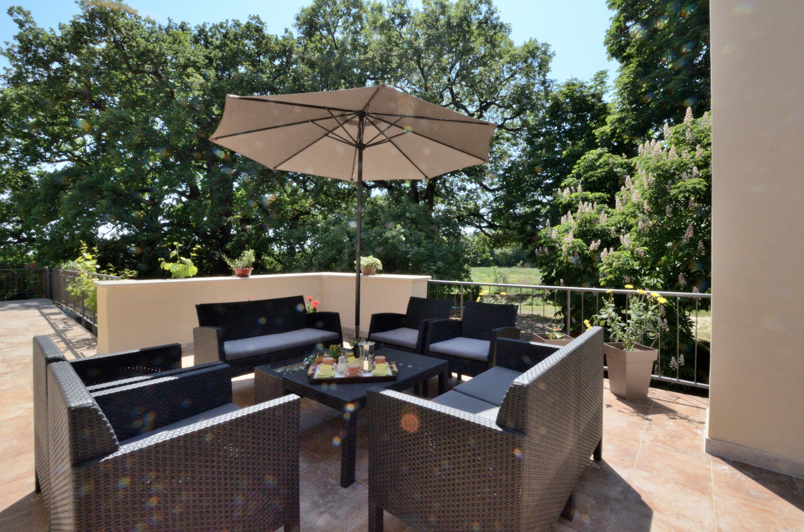 Photo of Apartment Napoleon