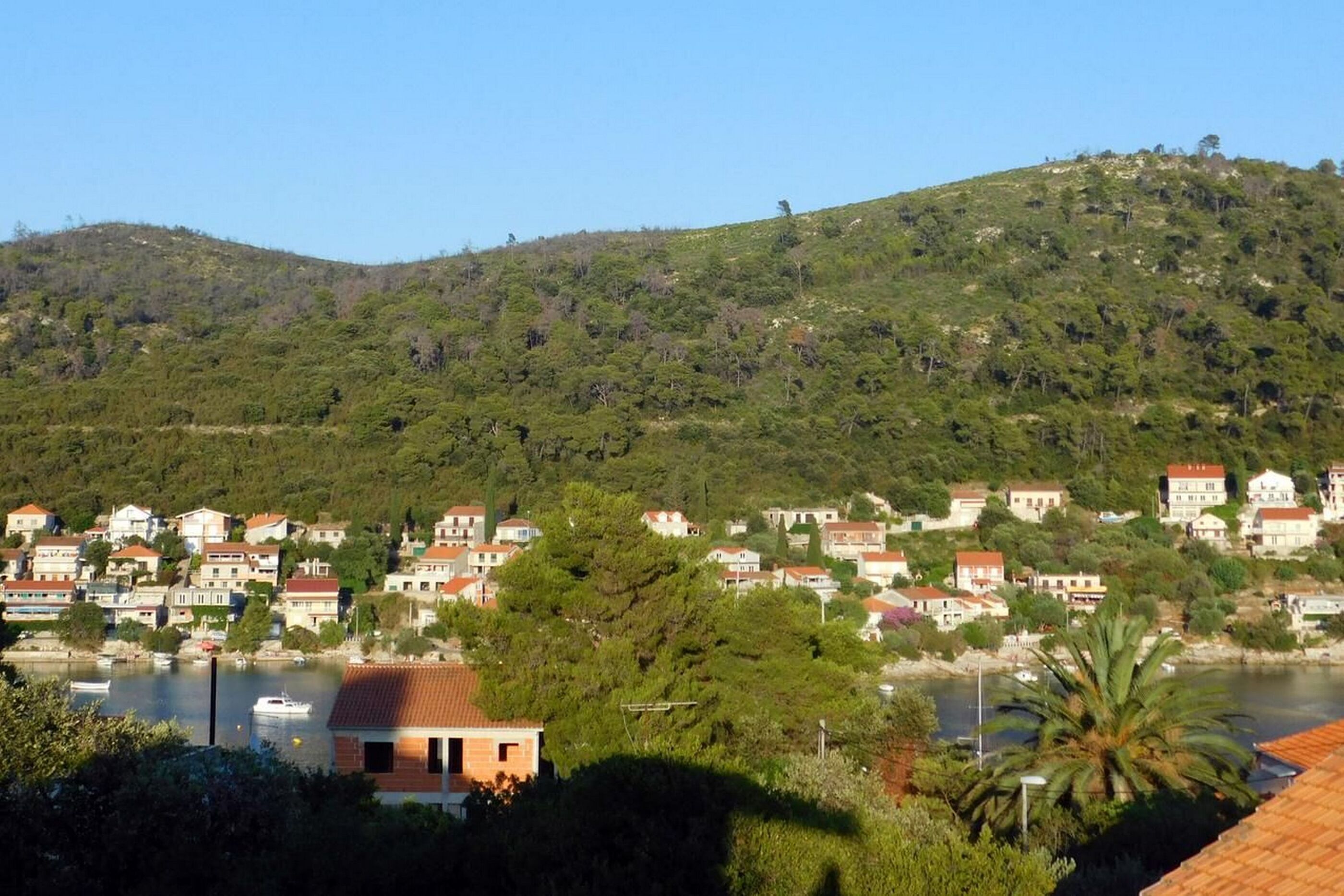 Apartments Ljiljana 70141-A1