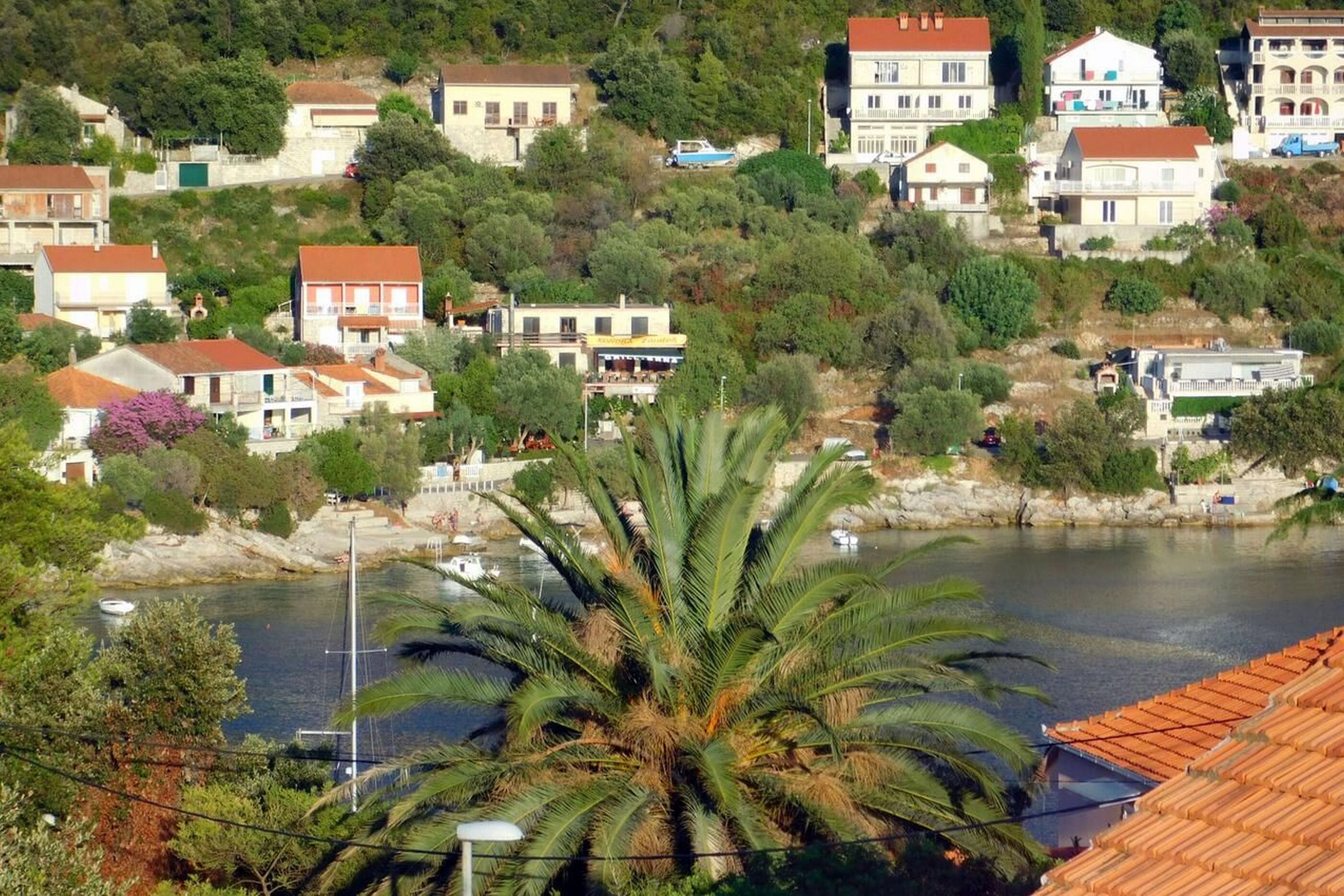 Apartments Ljiljana 70141-A1