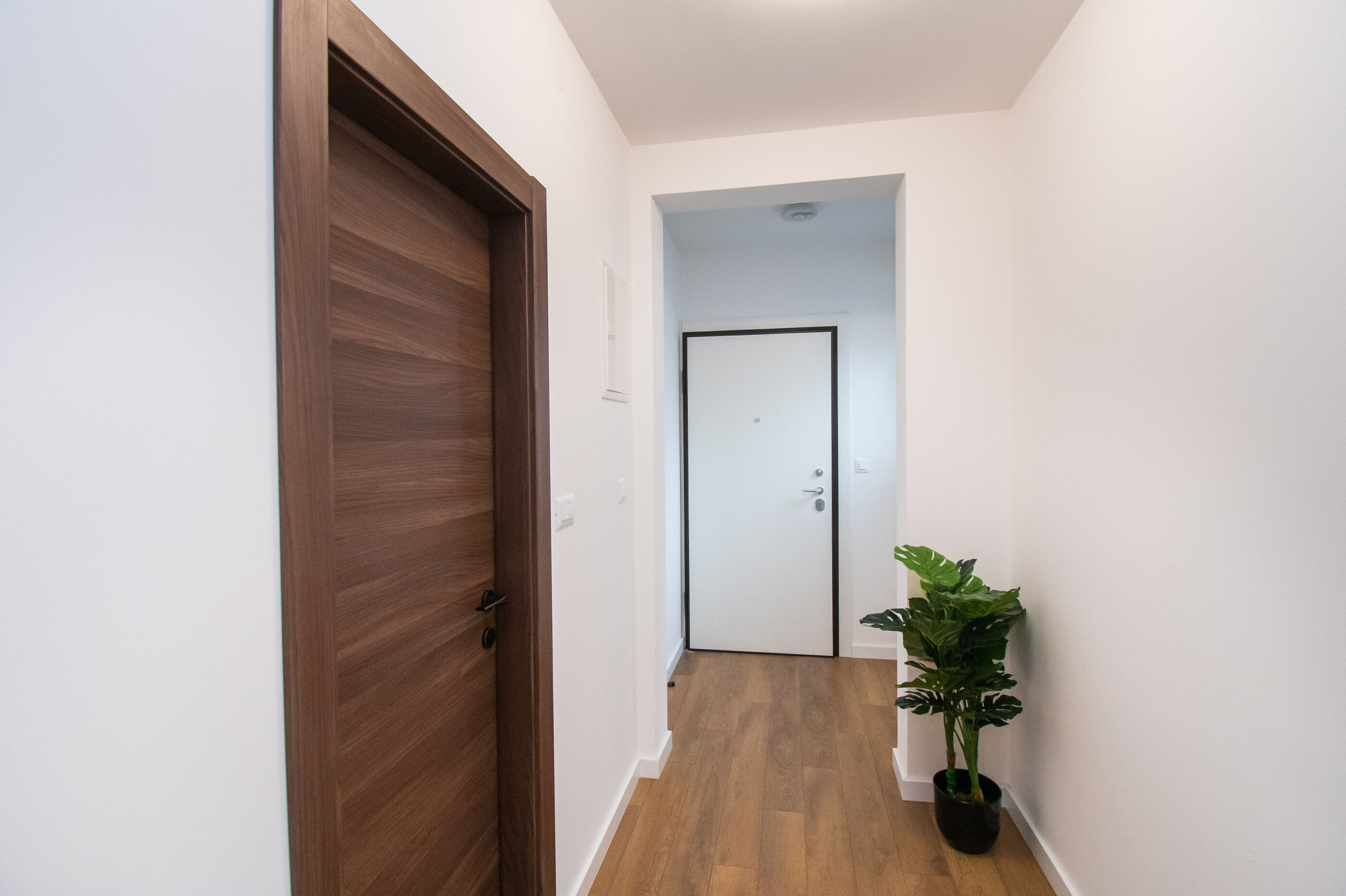 Apartments Luxury Golden Suites 89151-A4