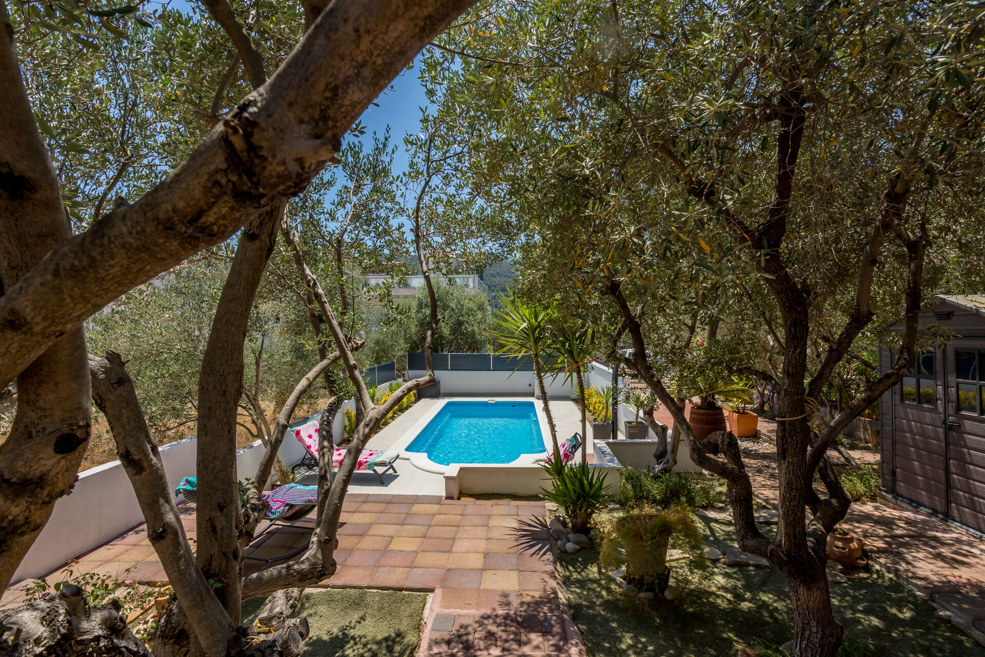 House Oliva 94016-K1
