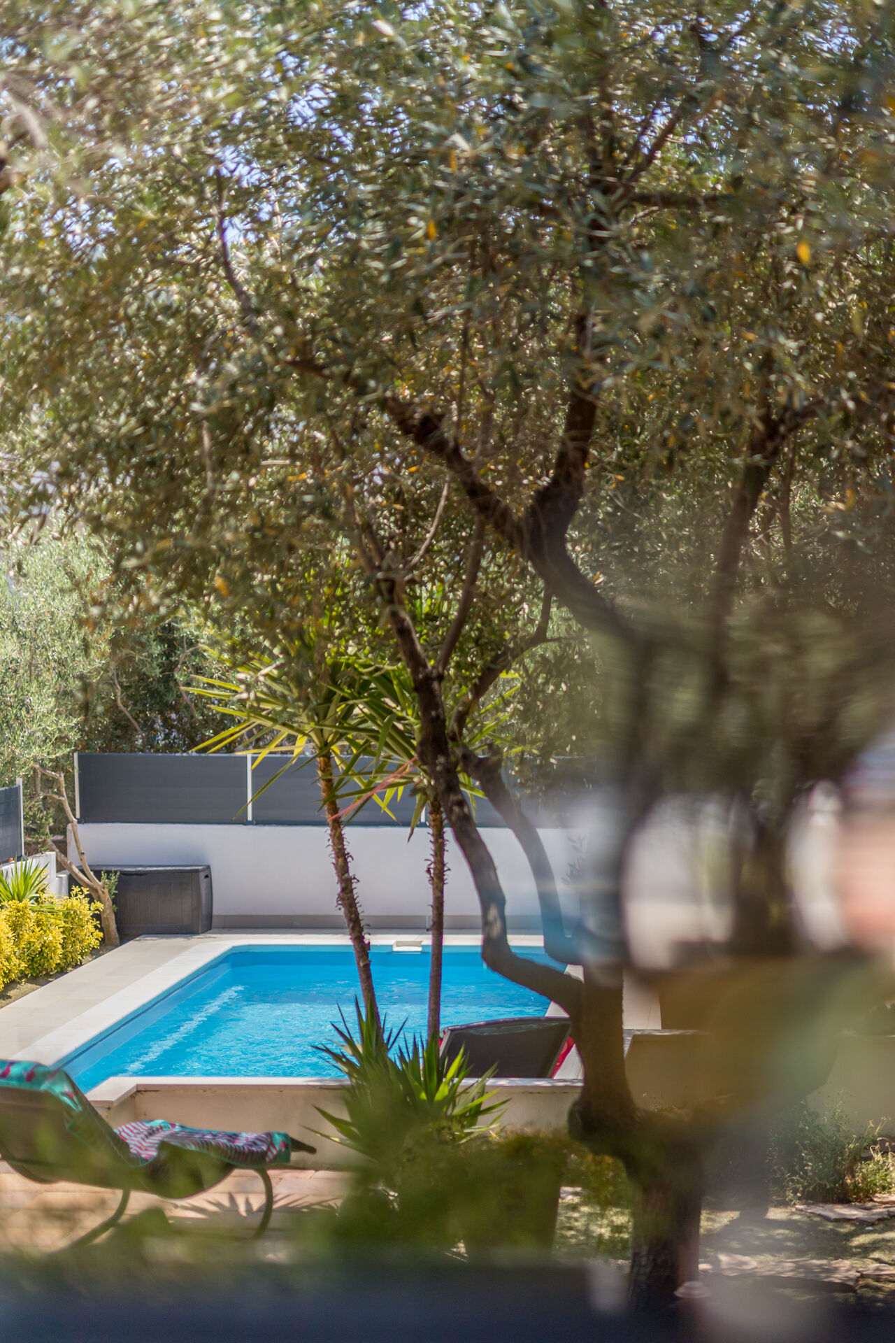 House Oliva 94016-K1