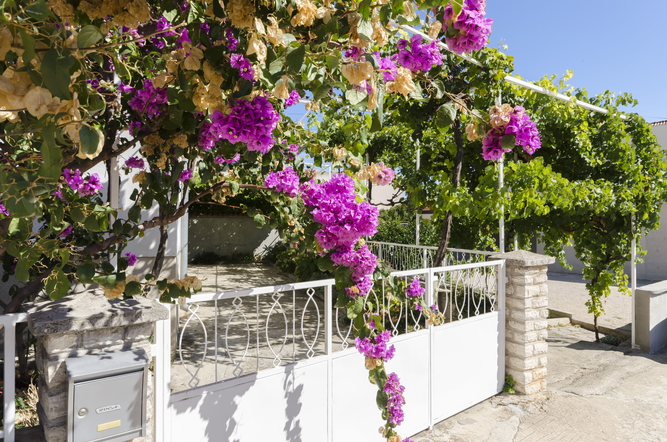 Apartment Roza 89421-A1