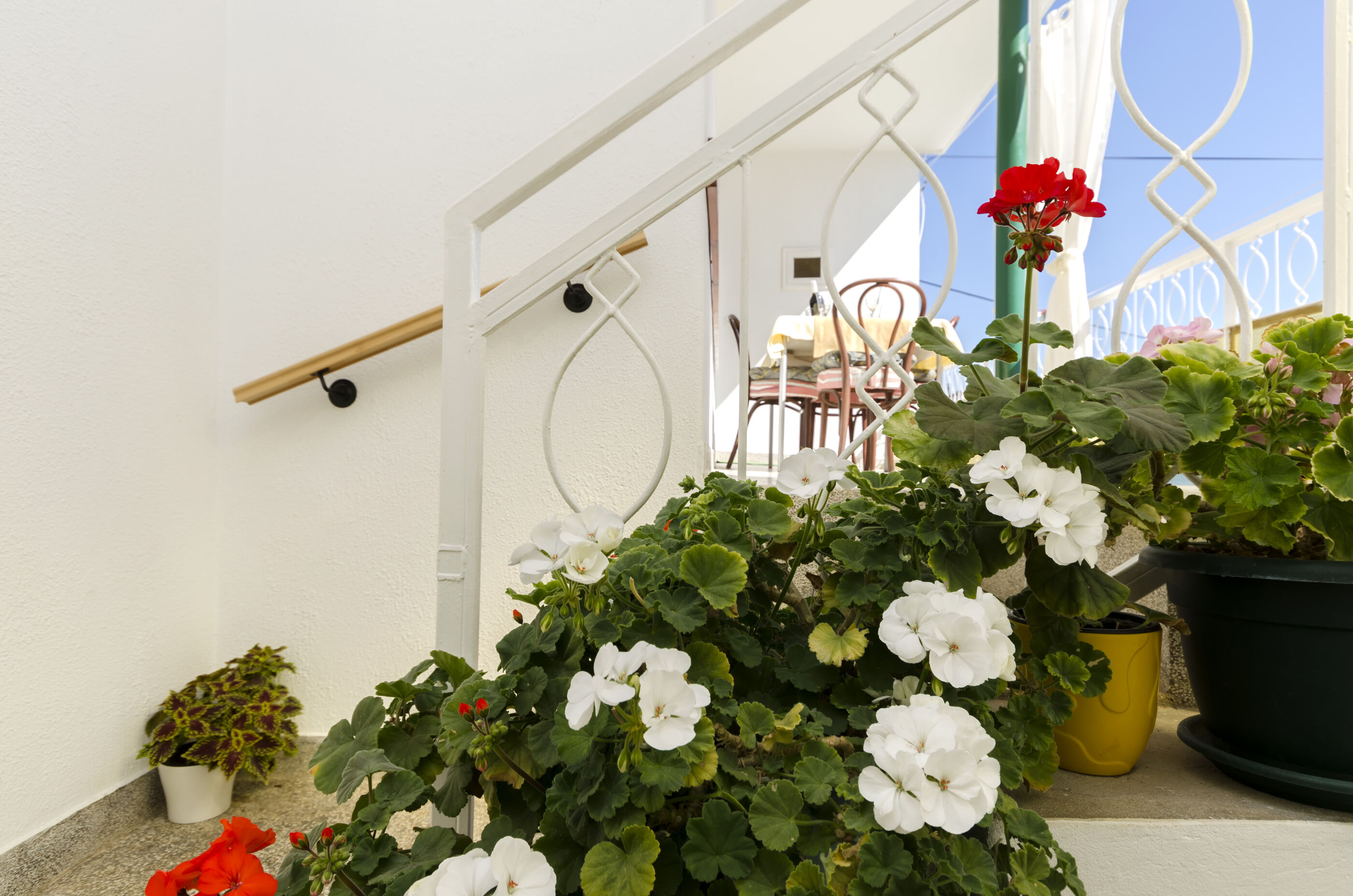 Apartment Roza 89421-A1