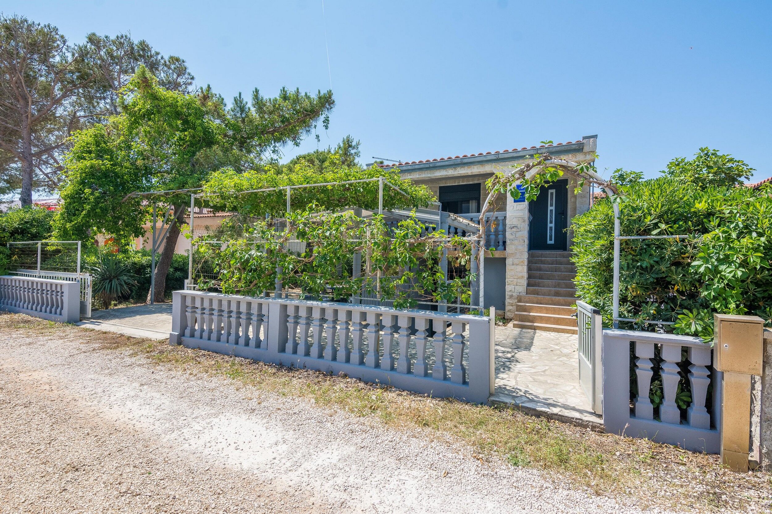 Apartments Bilic 33481-A1