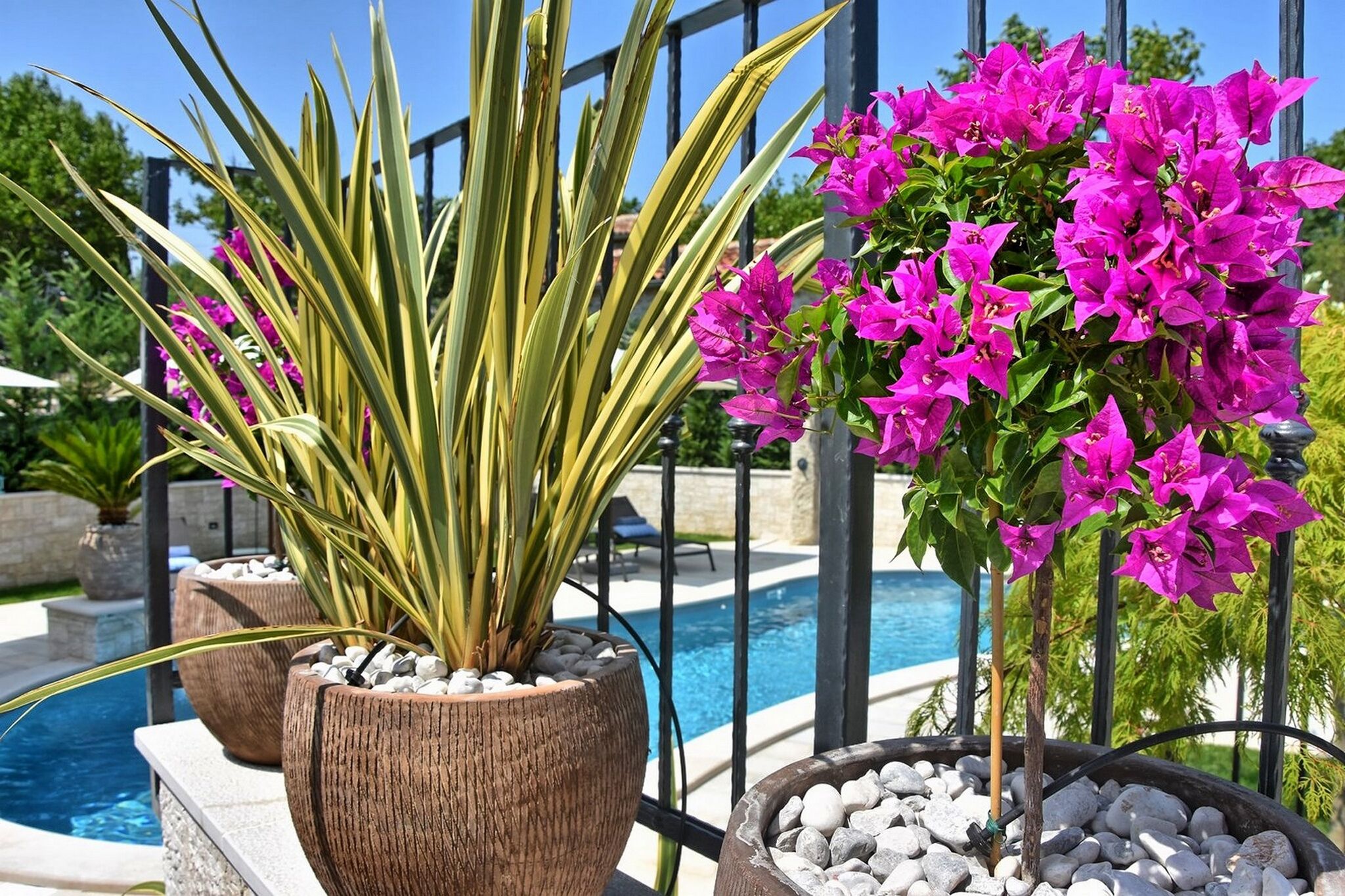 Villa Zita Exclusive 82687-K1