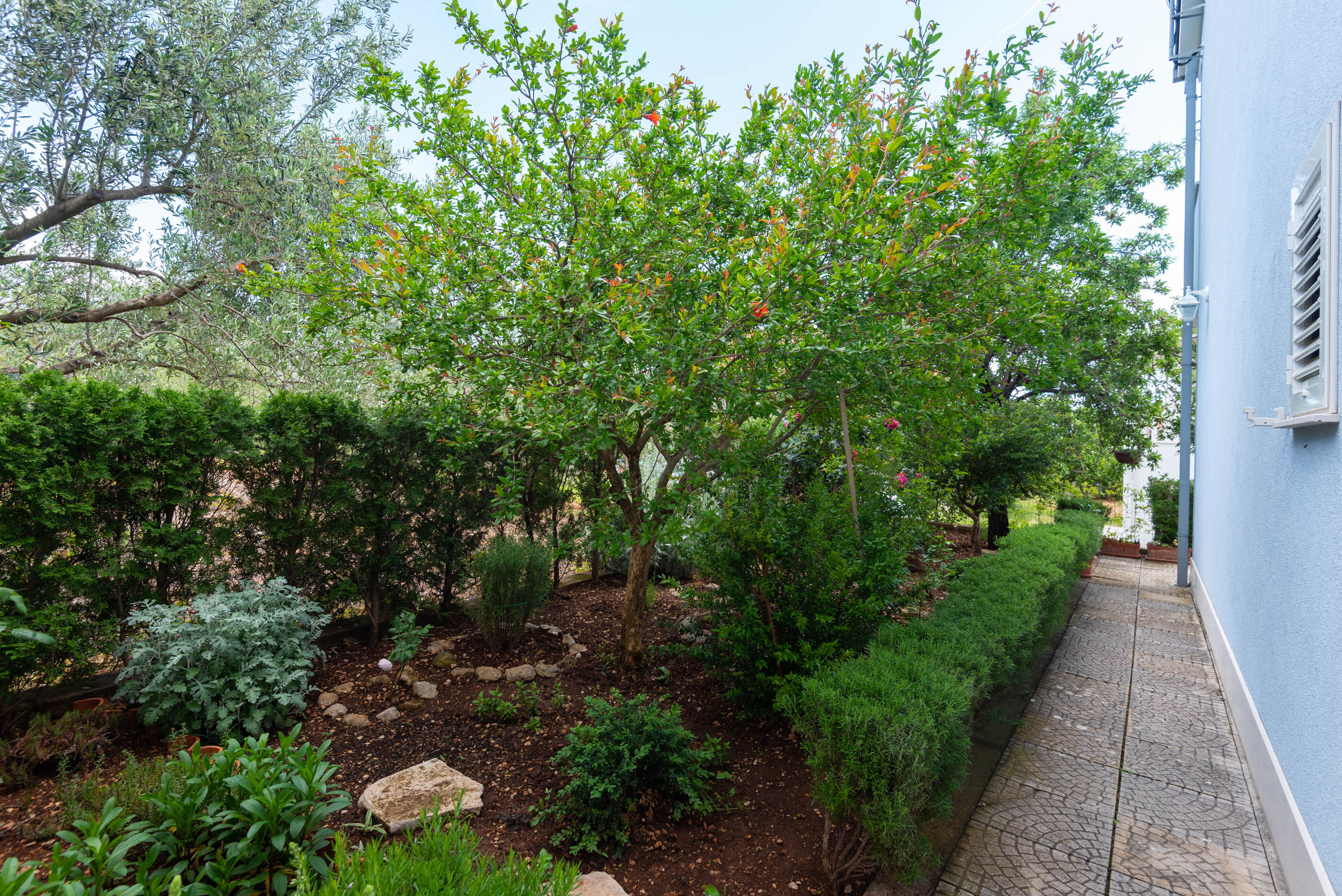 Apartments Ivana 32933-A2