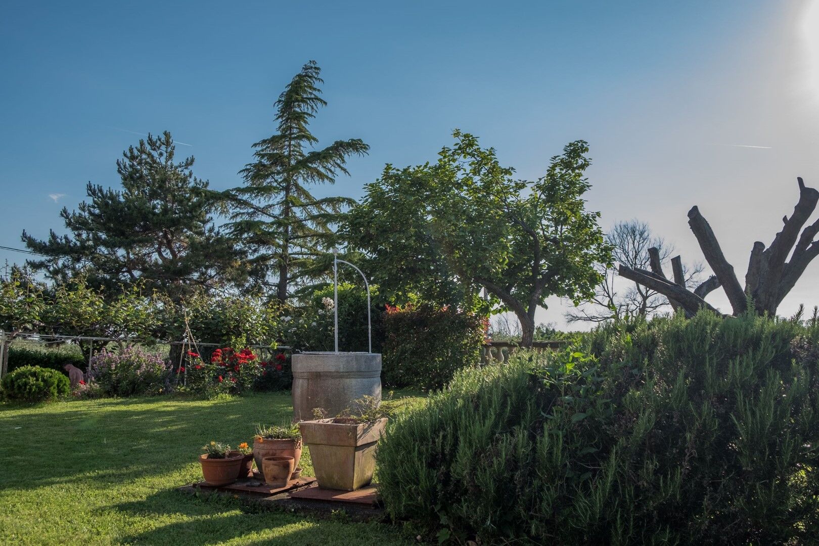 Villa Alberi with pool 90311-K1