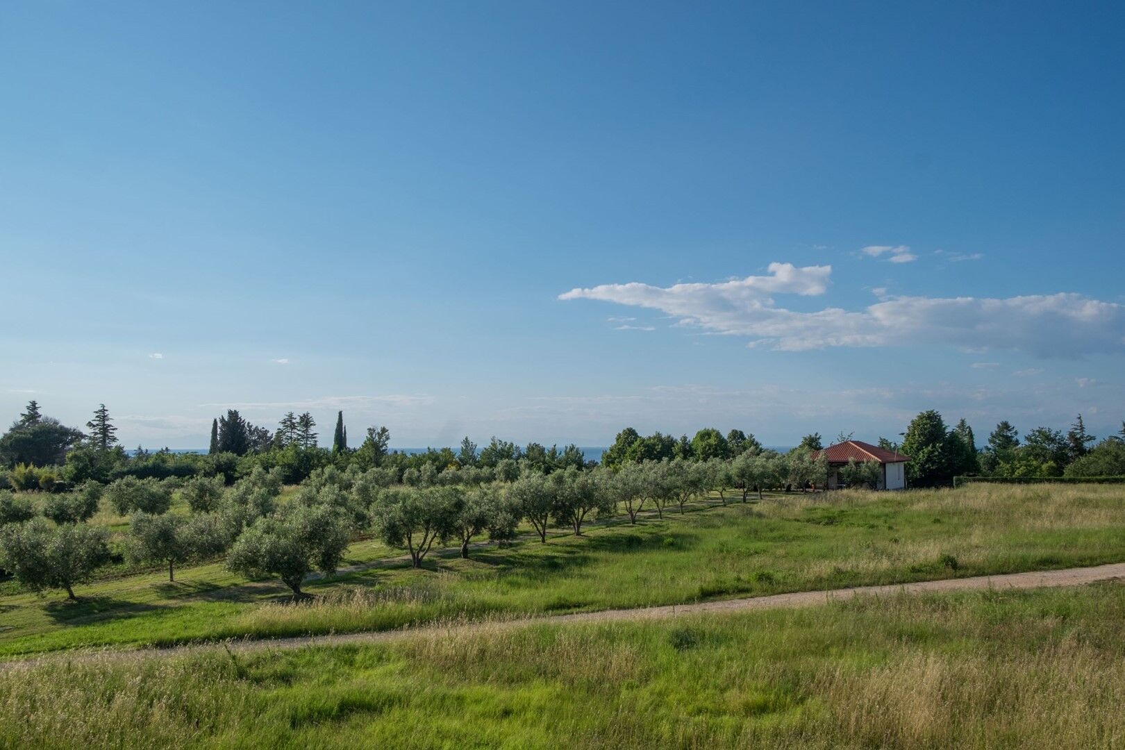 Villa Alberi with pool 90311-K1