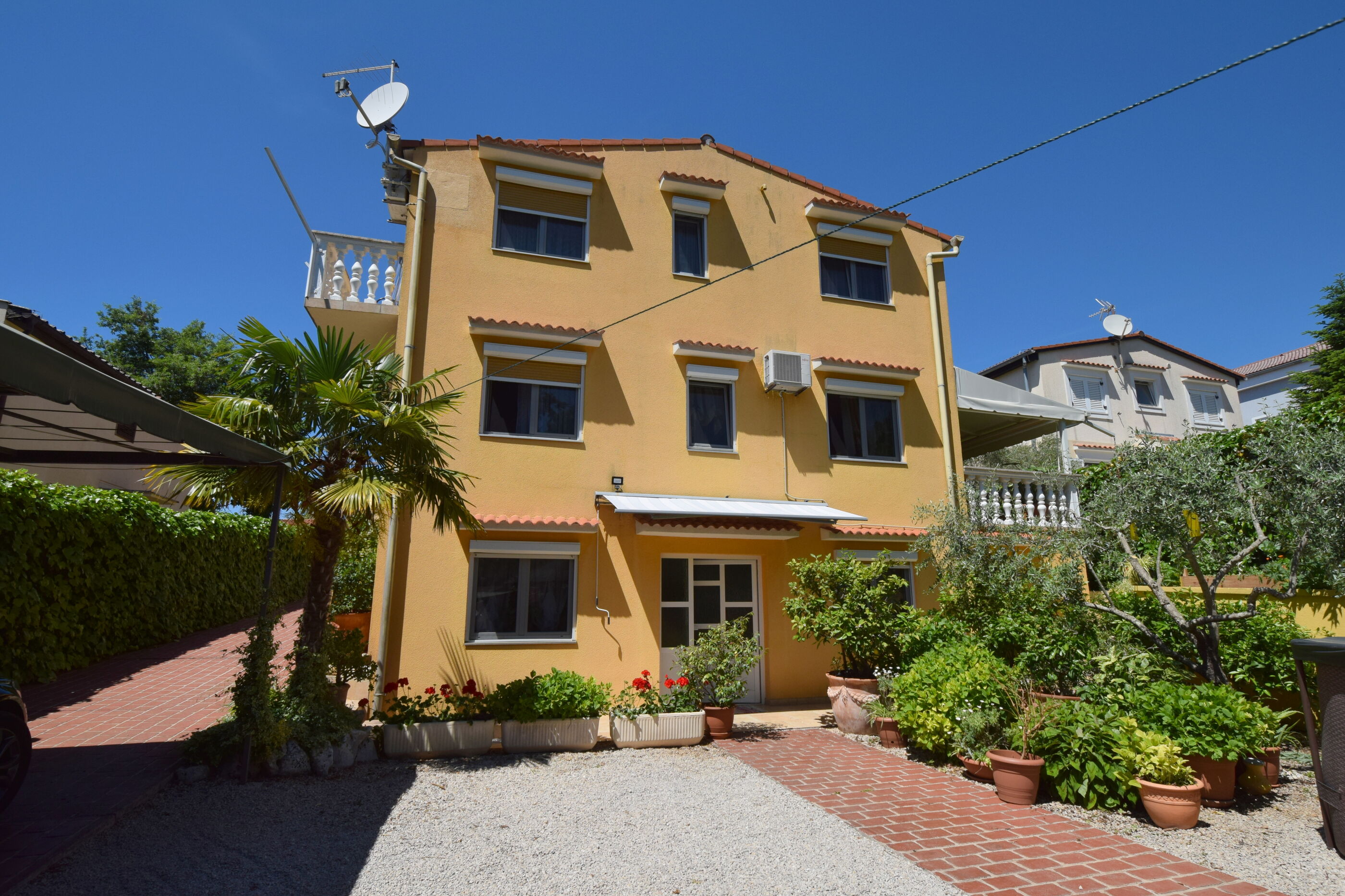 Apartments Jelica 62136-A1