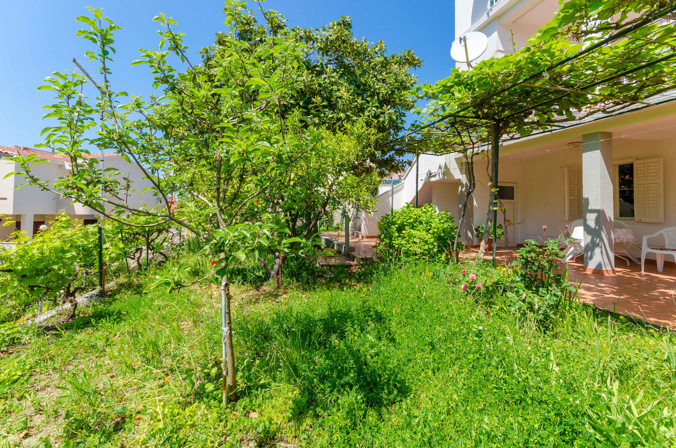 Apartment Nevenka 65372-A1