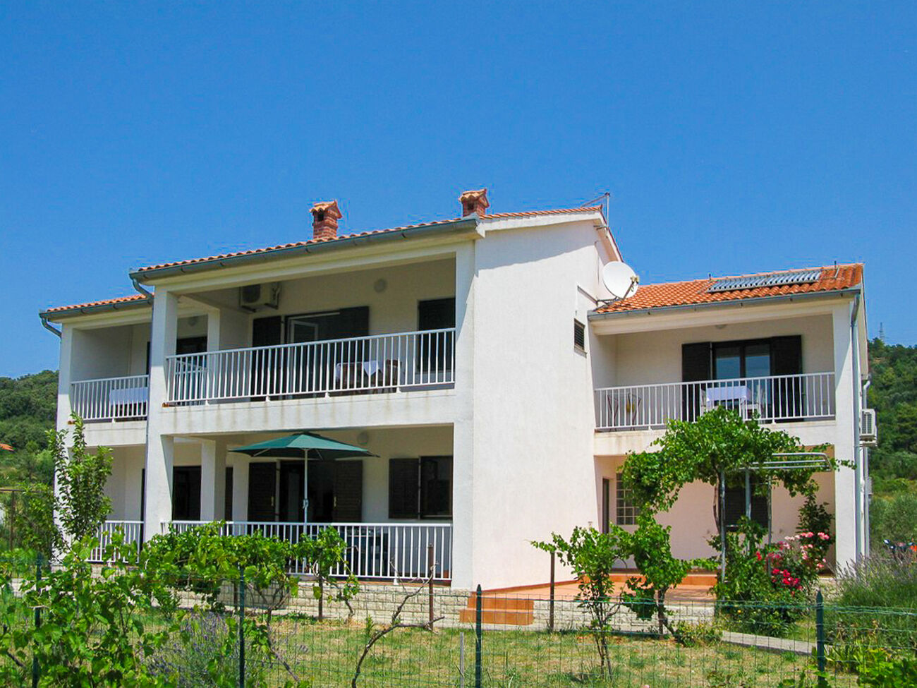 Apartments Biserka 65371-A2