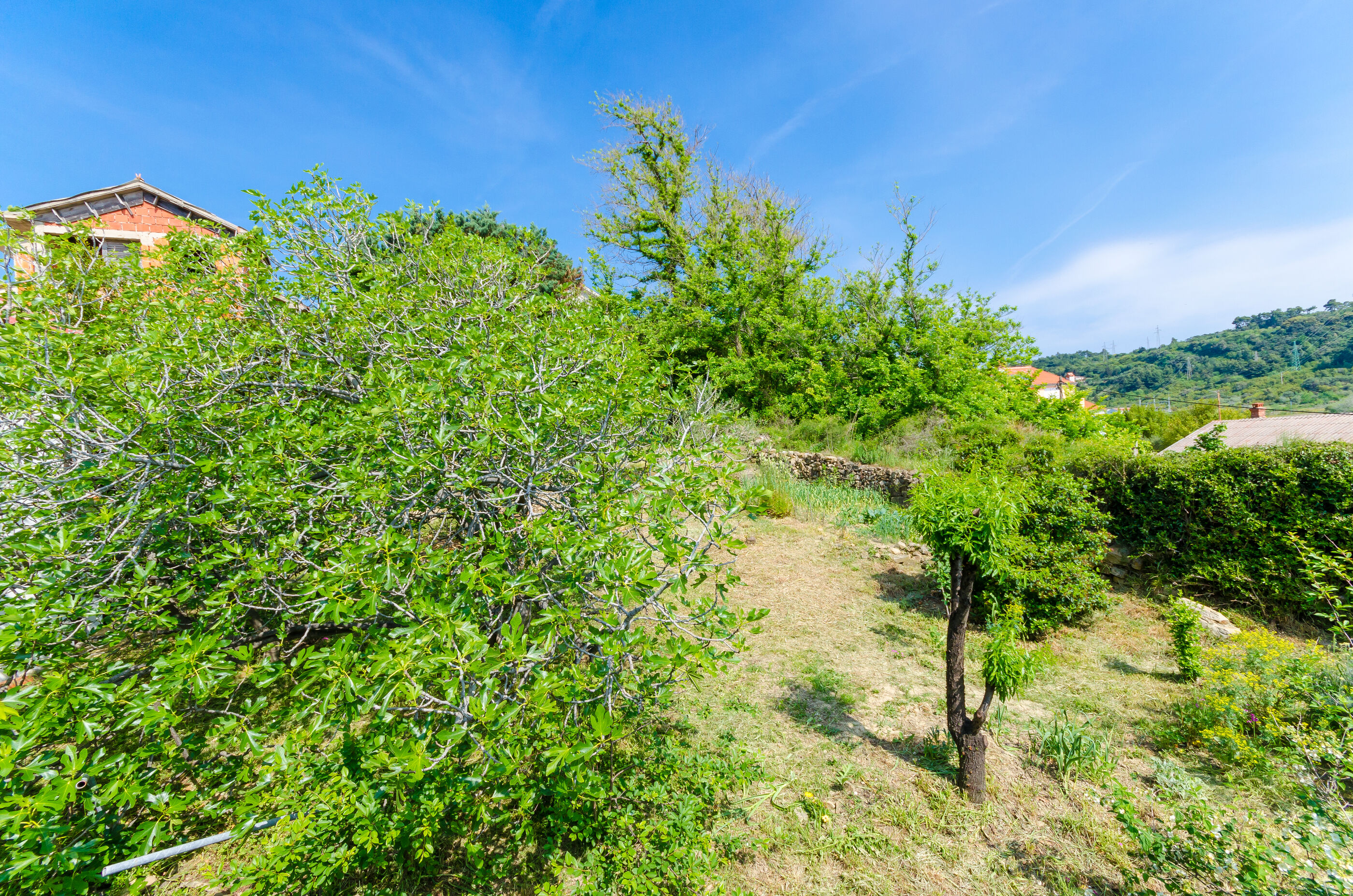 Photo of Apartments Marotin