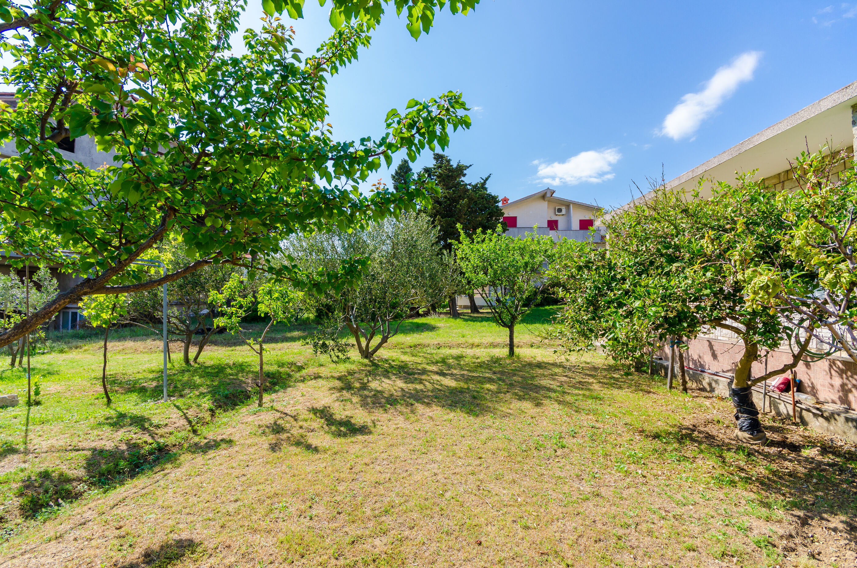 Apartments Anica F 88261-A2