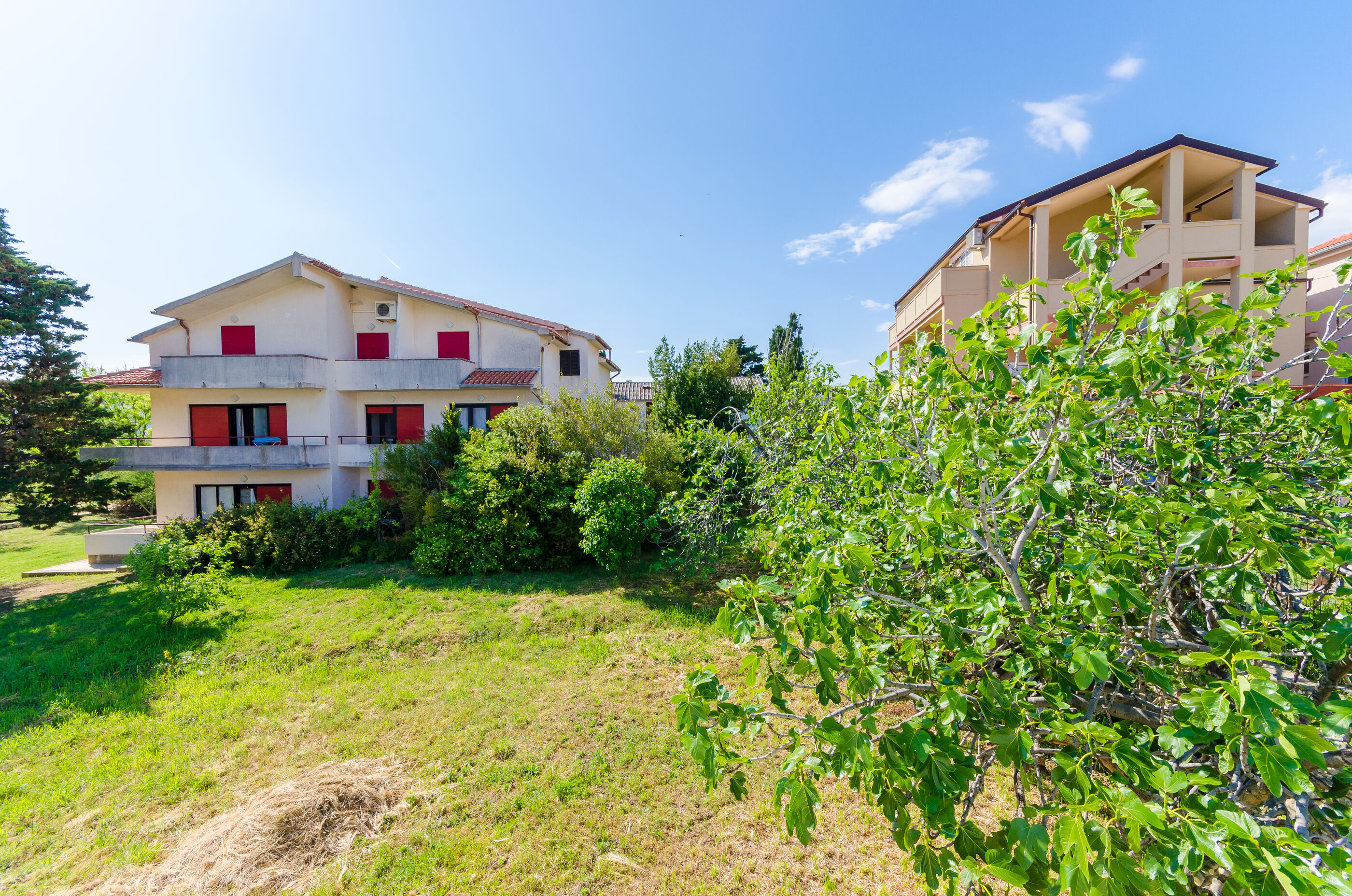 Apartments Anica F 88261-A2