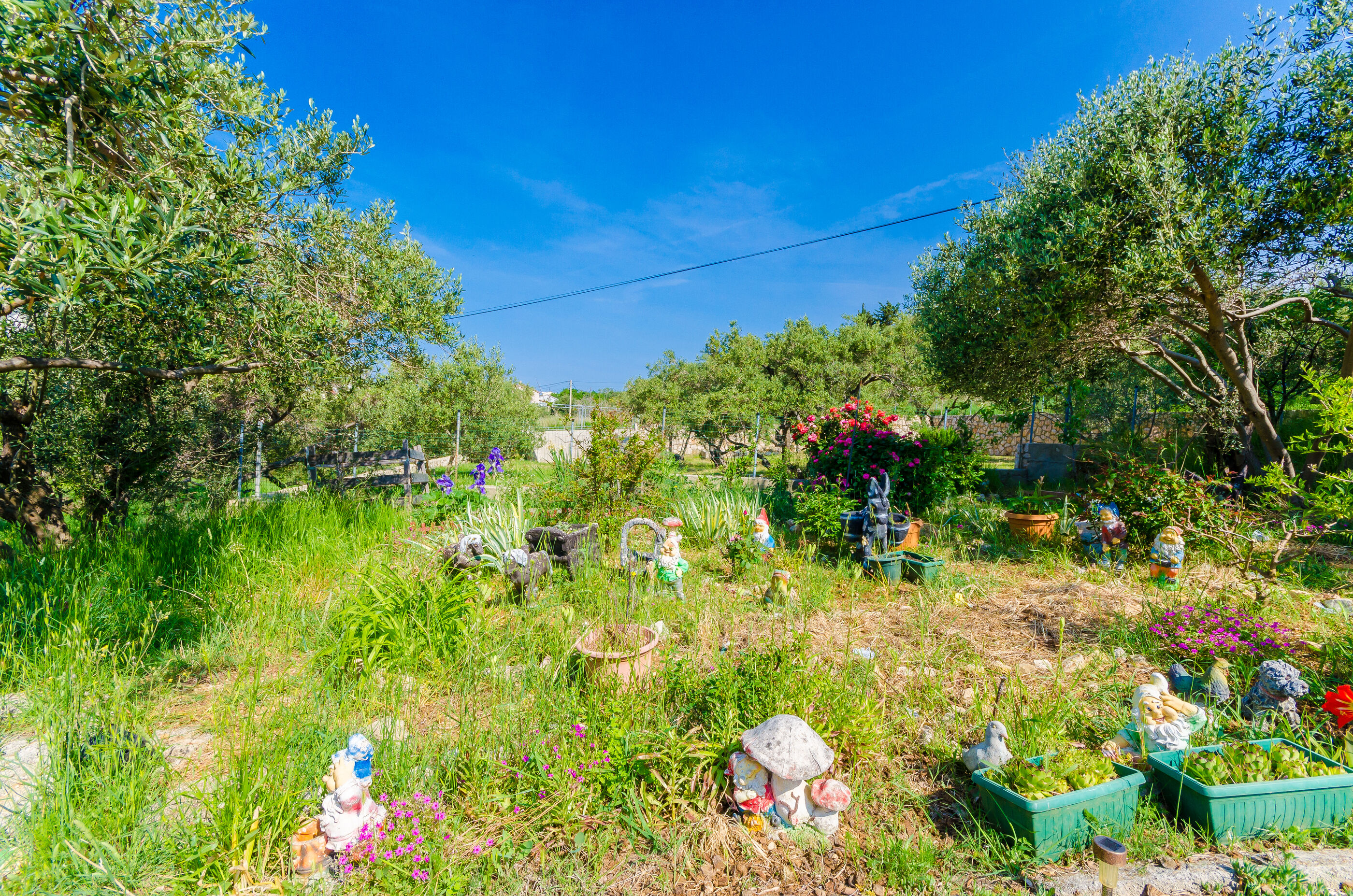 Apartments Opsenica 49521-A1