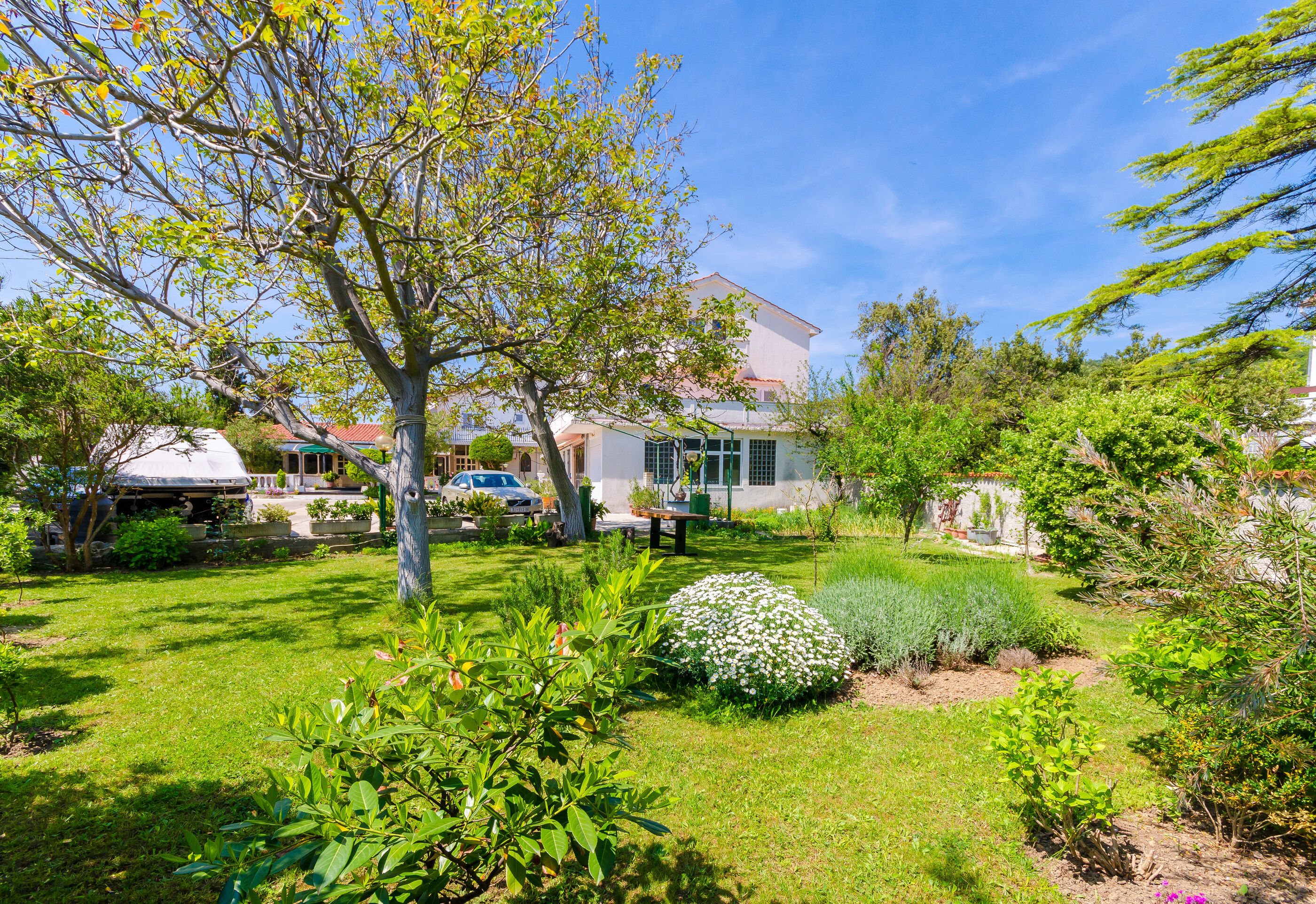 Photo of Apartments and Rooms PREKA