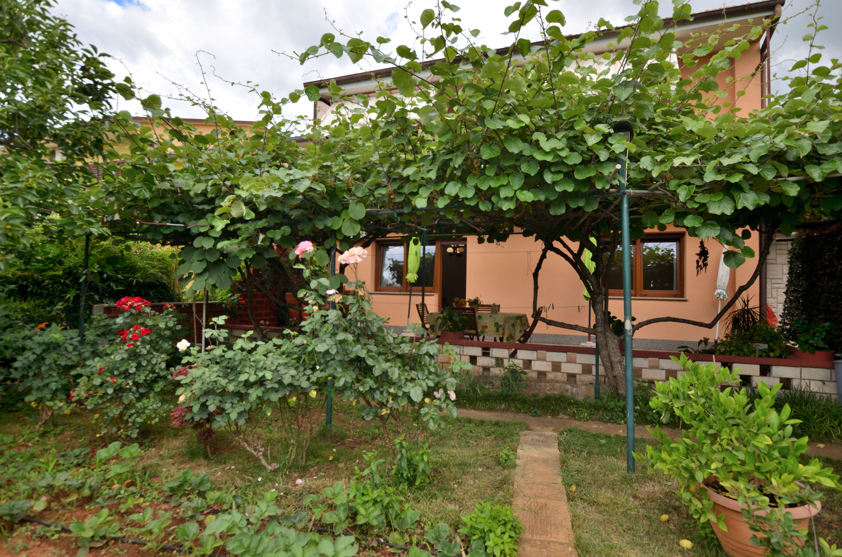 Apartment Kivi 88411-A1