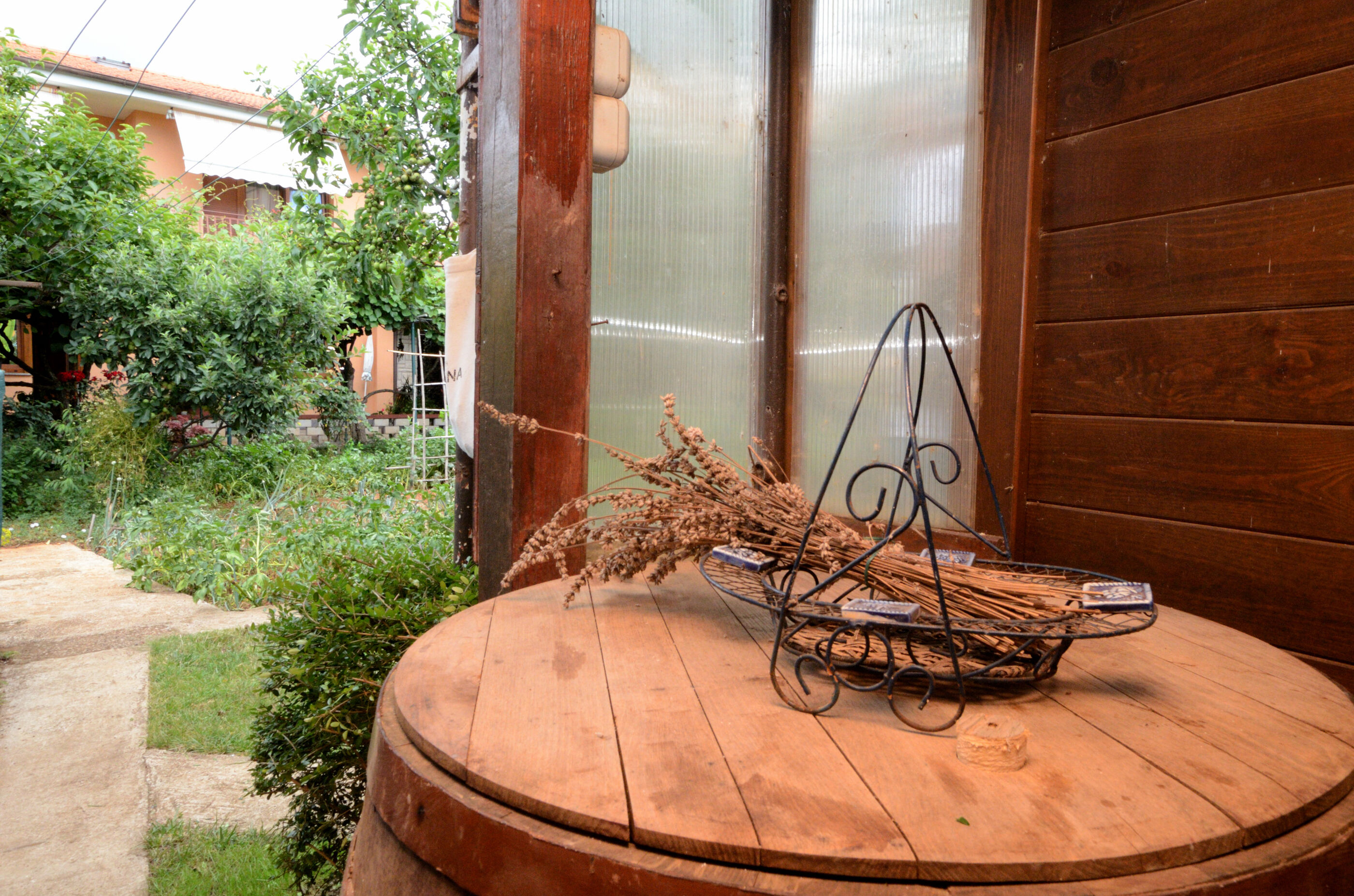 Apartment Kivi 88411-A1