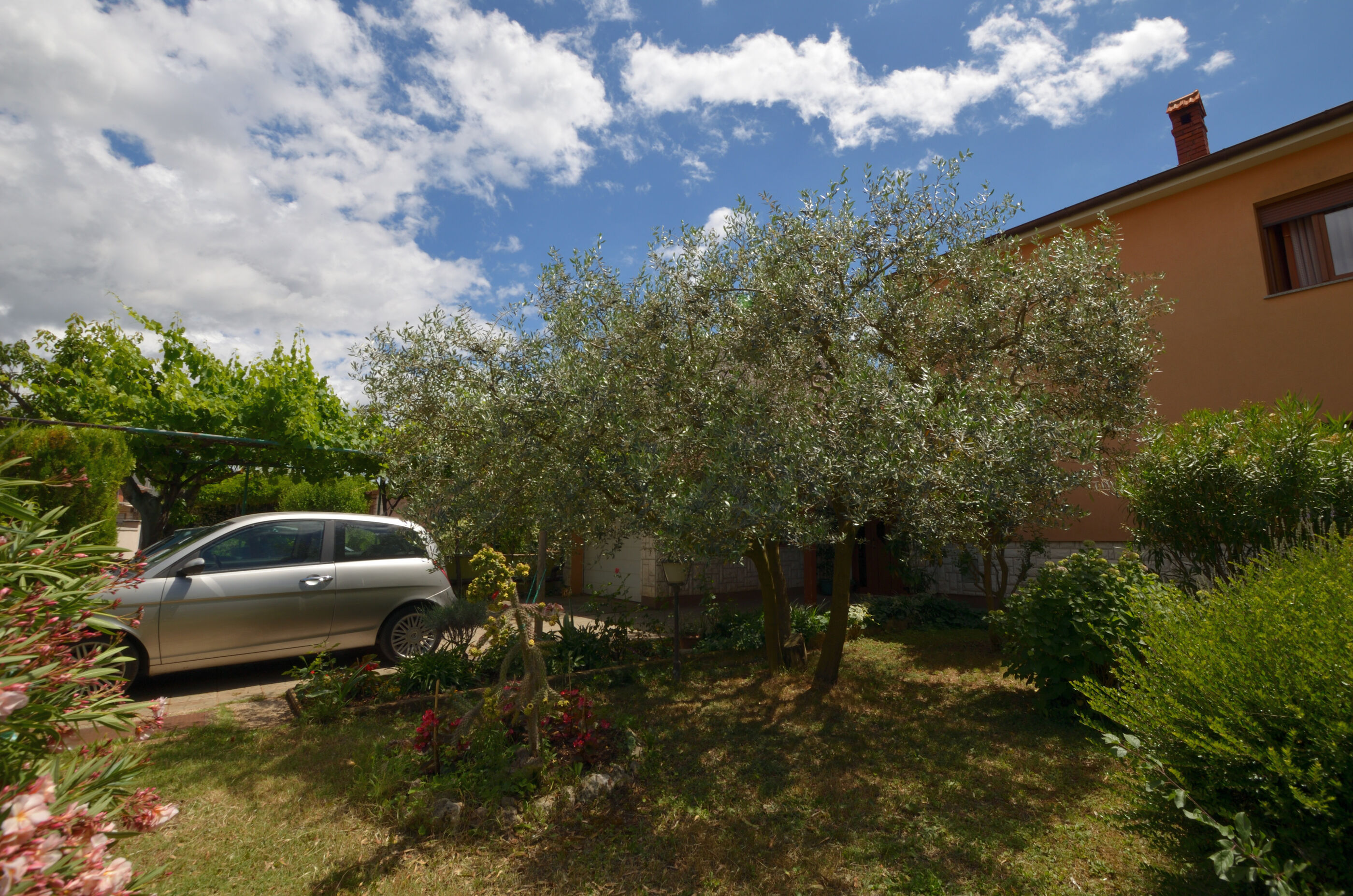 Apartment Kivi 88411-A1