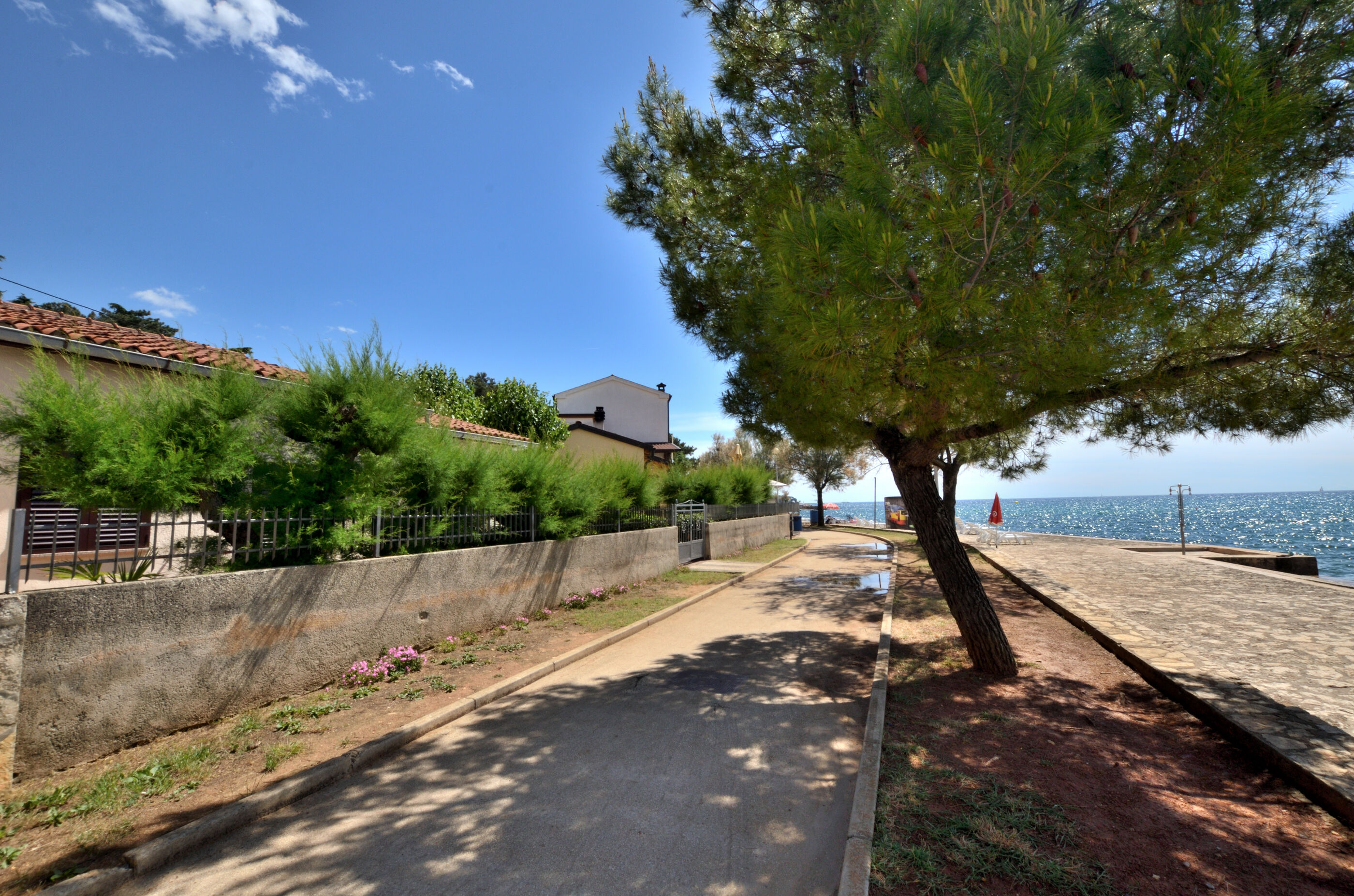 Photo of Apartment Luna