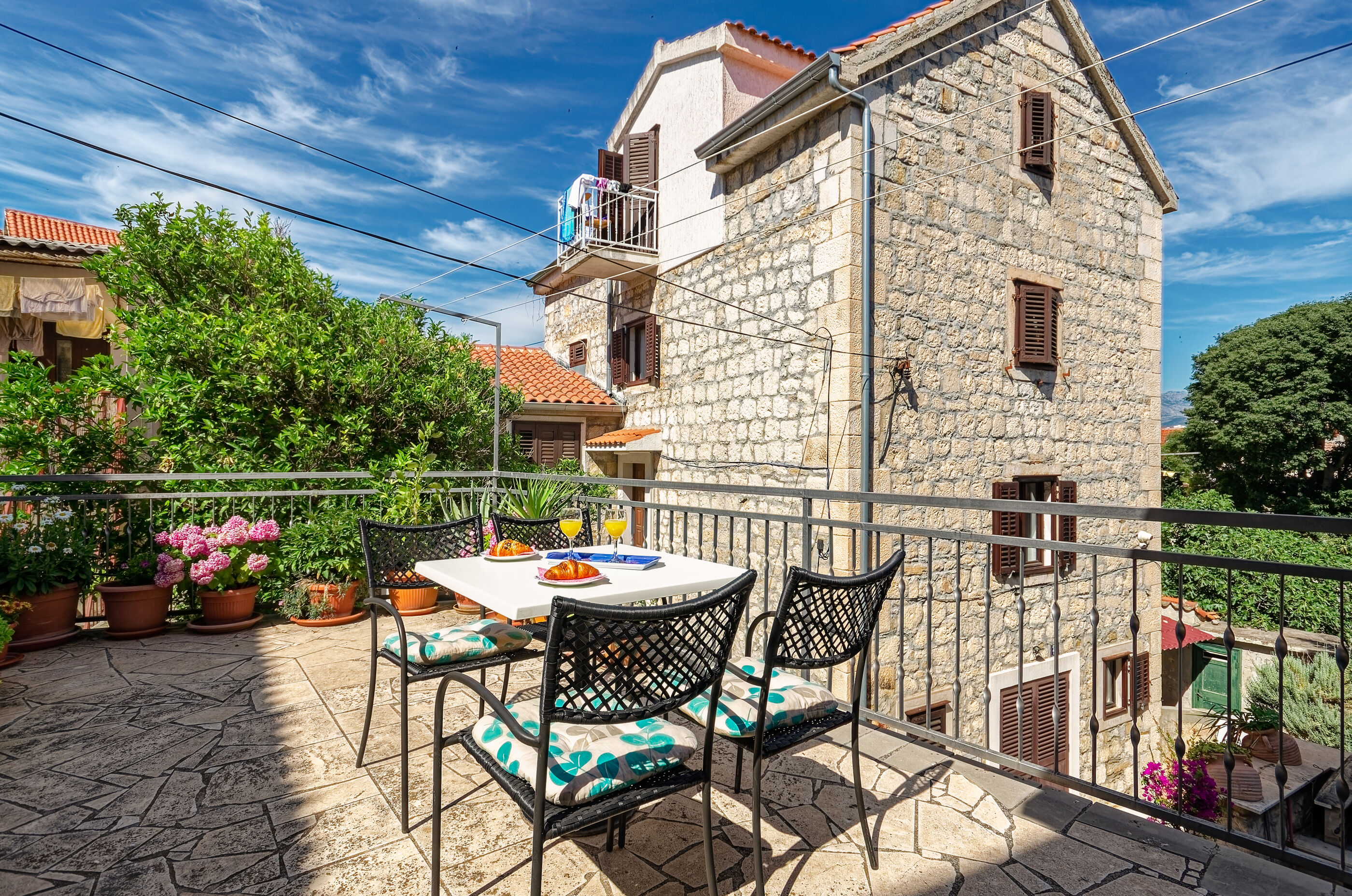 Photo of House Rose in center