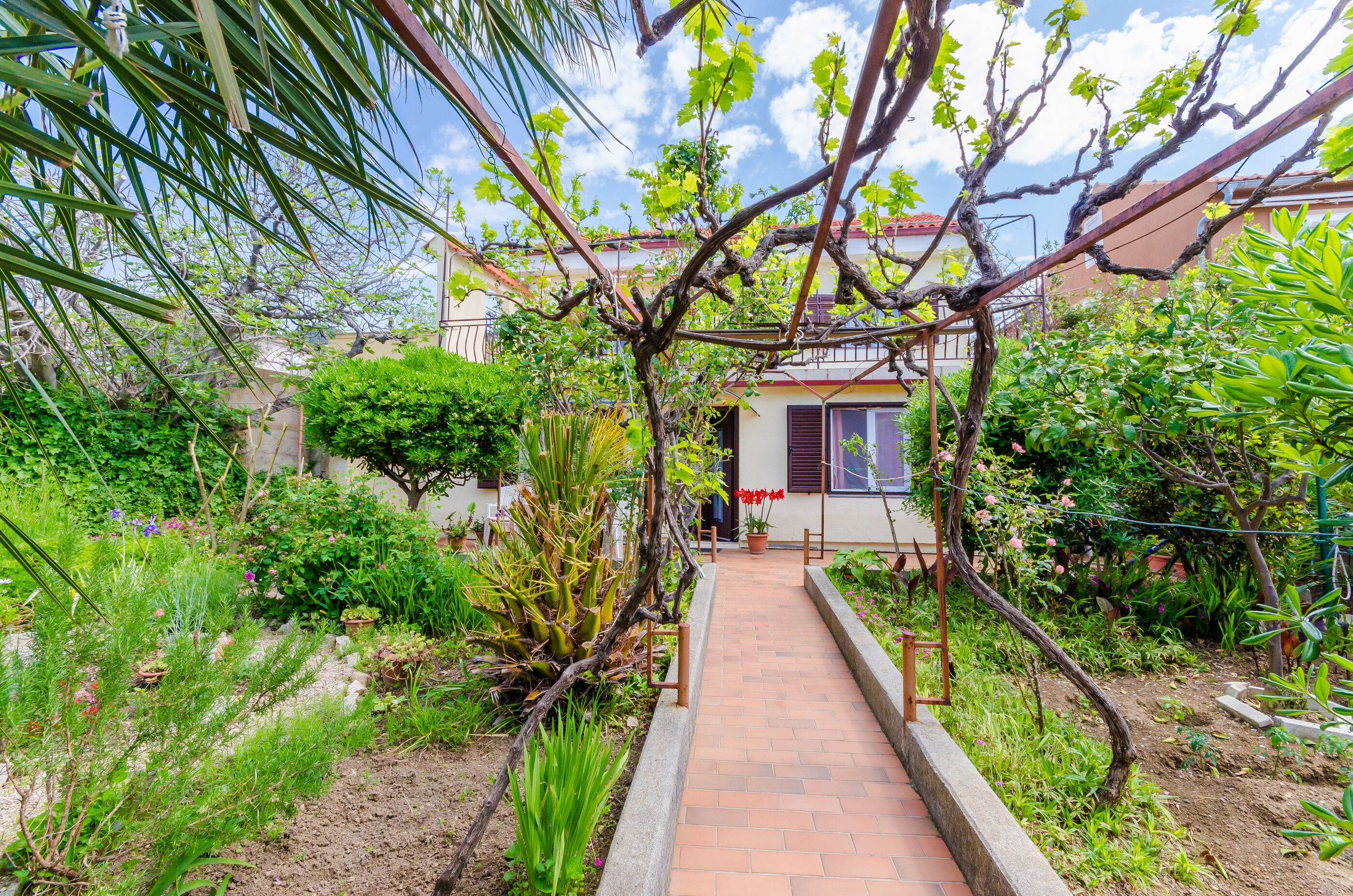 Photo of Apartments Tugomila