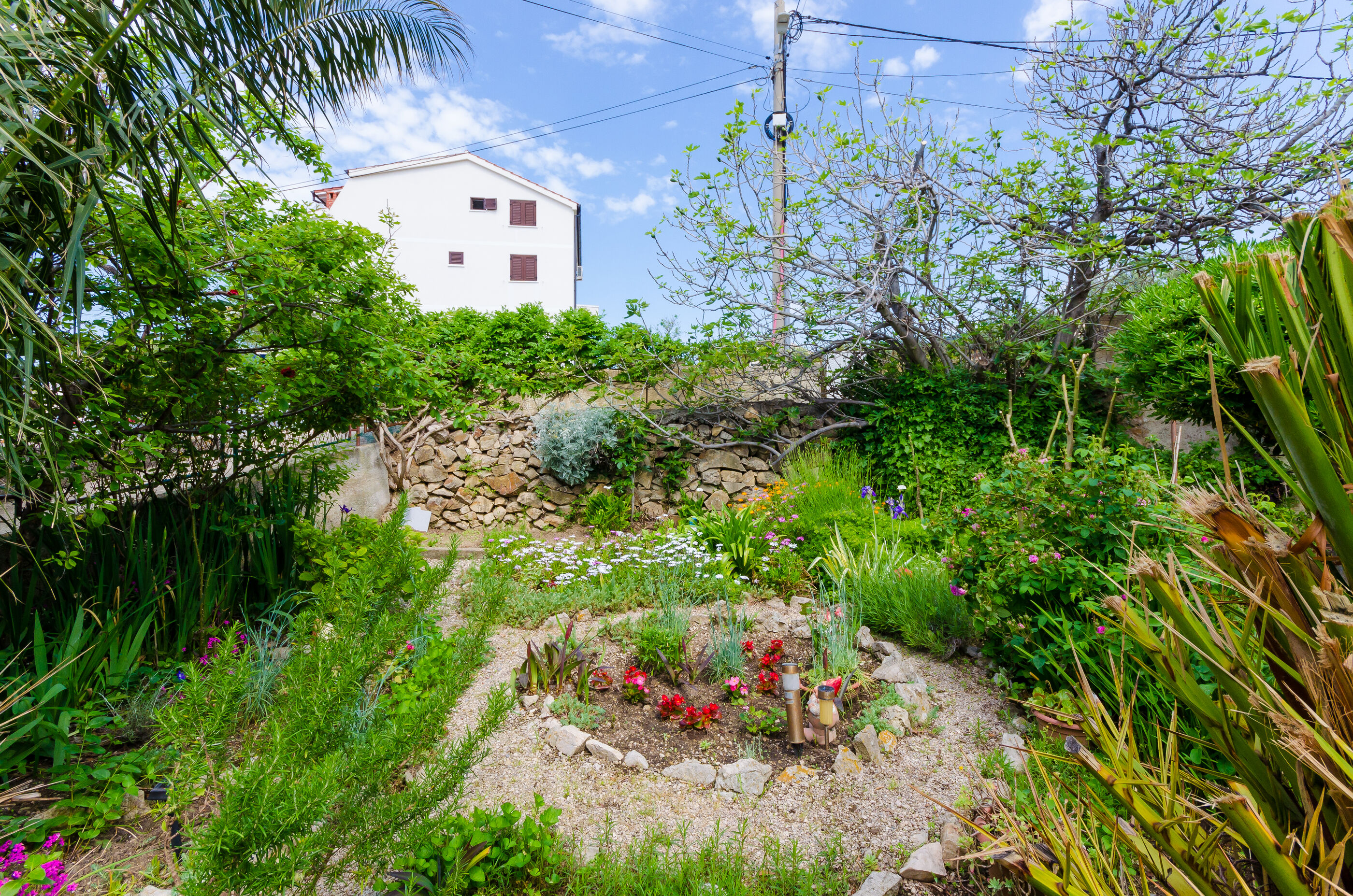 Photo of Apartments Tugomila