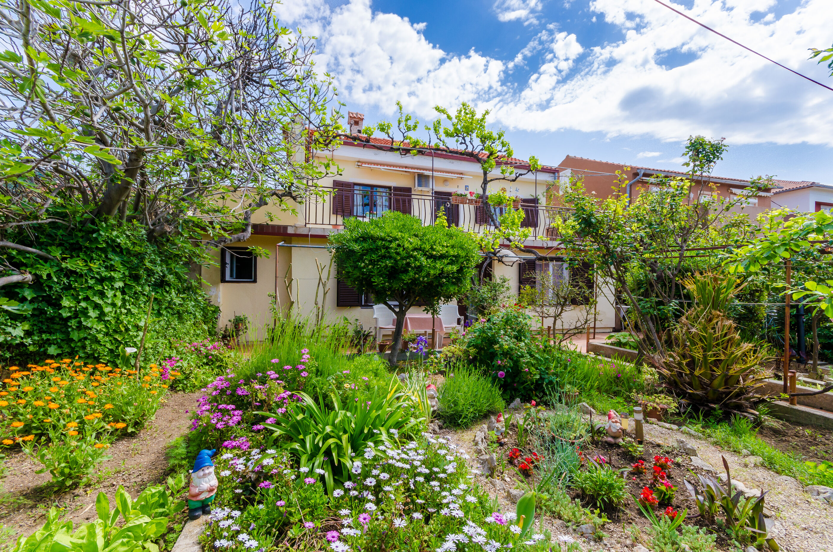 Photo of Apartments Tugomila