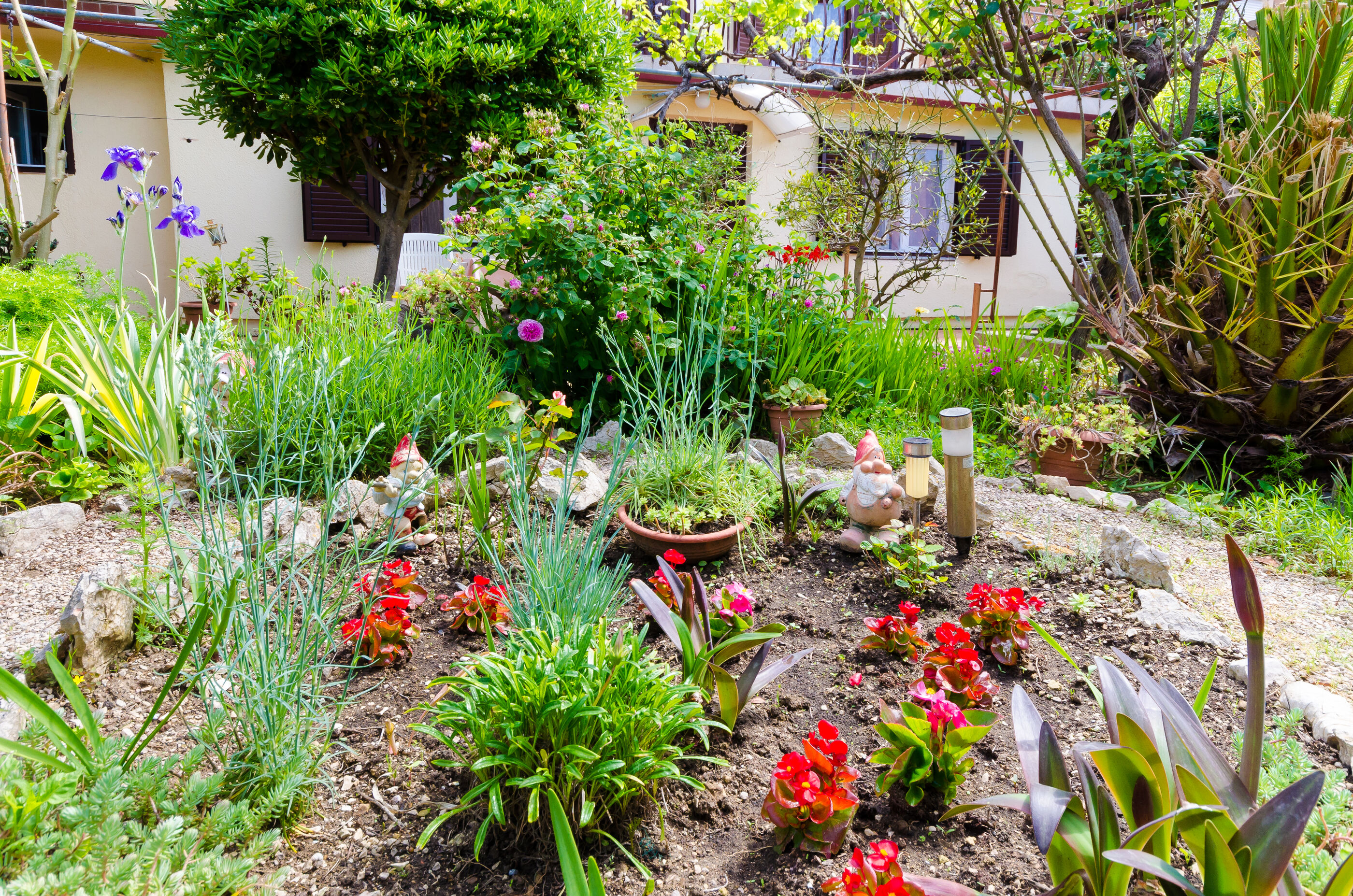 Photo of Apartments Tugomila