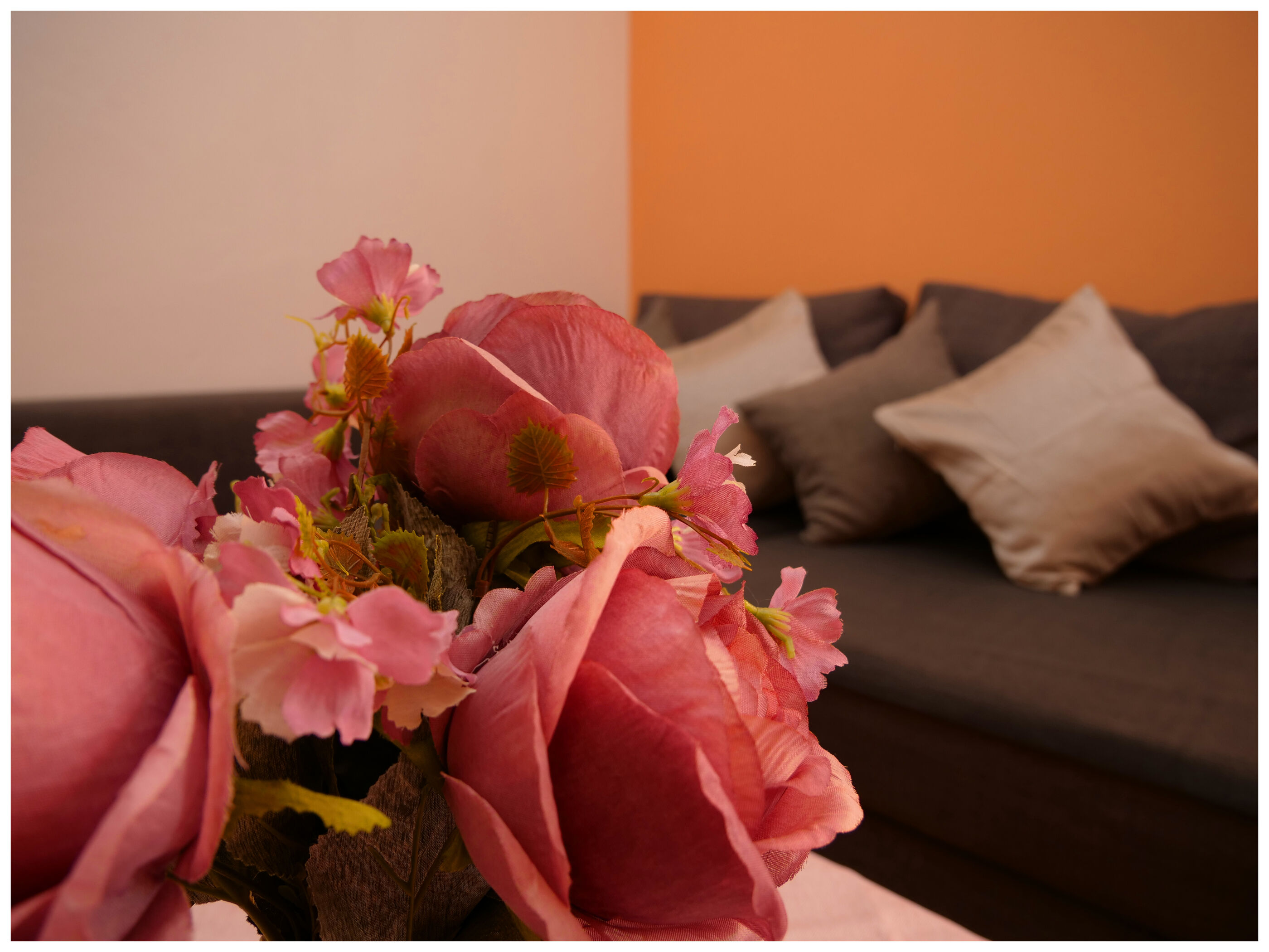 Apartments Tina Toni 64041-A1