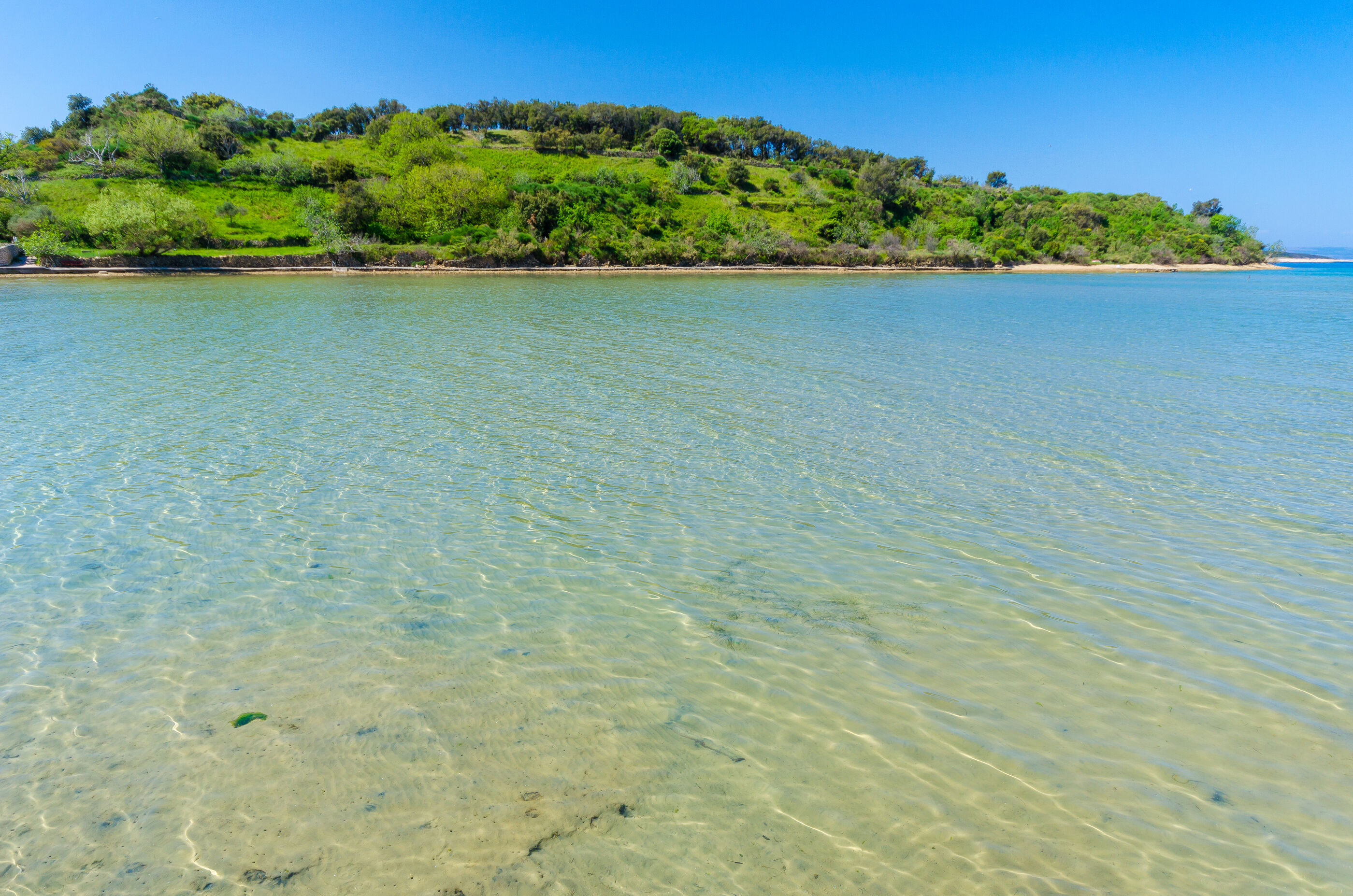 Photo of Apartments Katica